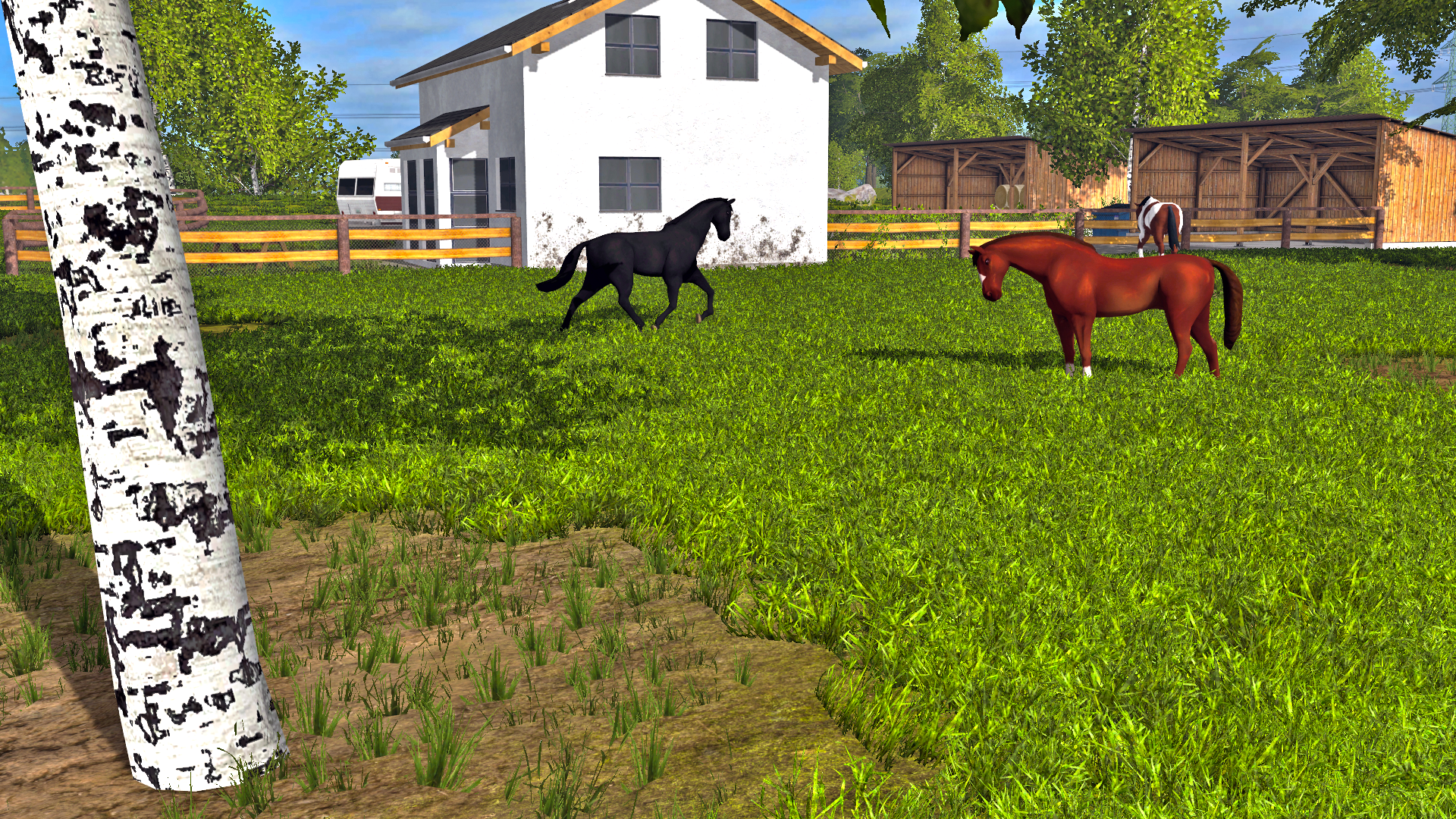 Карта ranch simulator