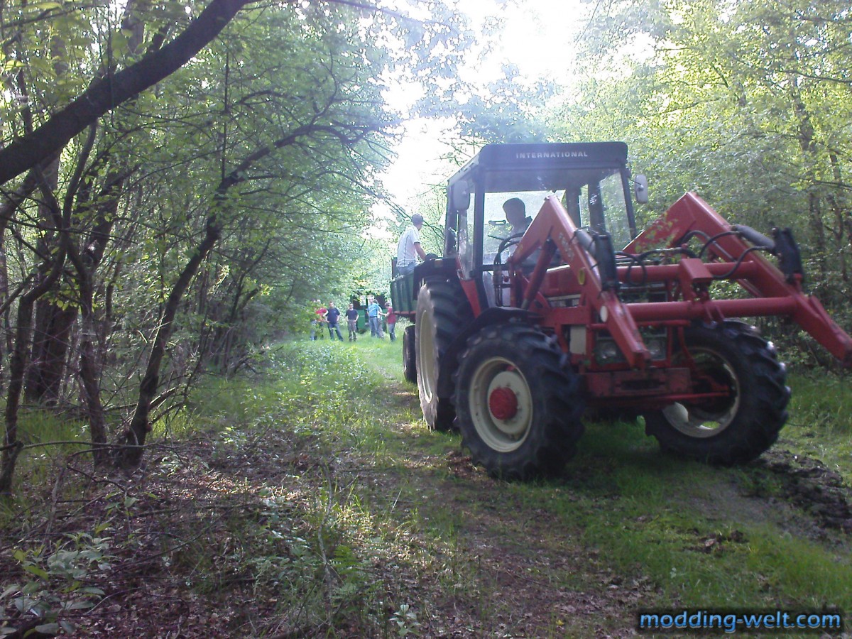 Maibaumhacken 2012 - CaseIH Power !