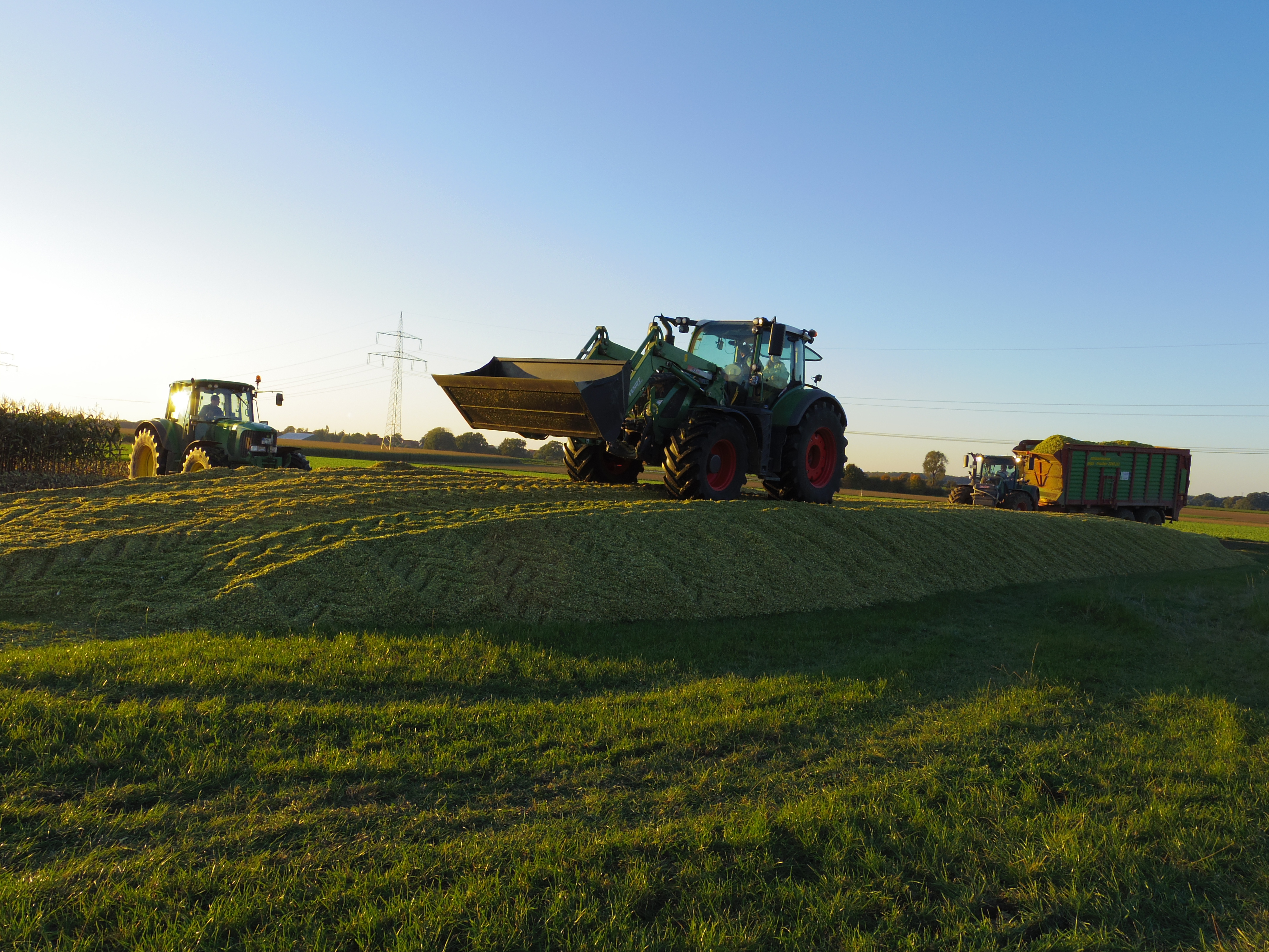 Silage 2015 Freilandsilo