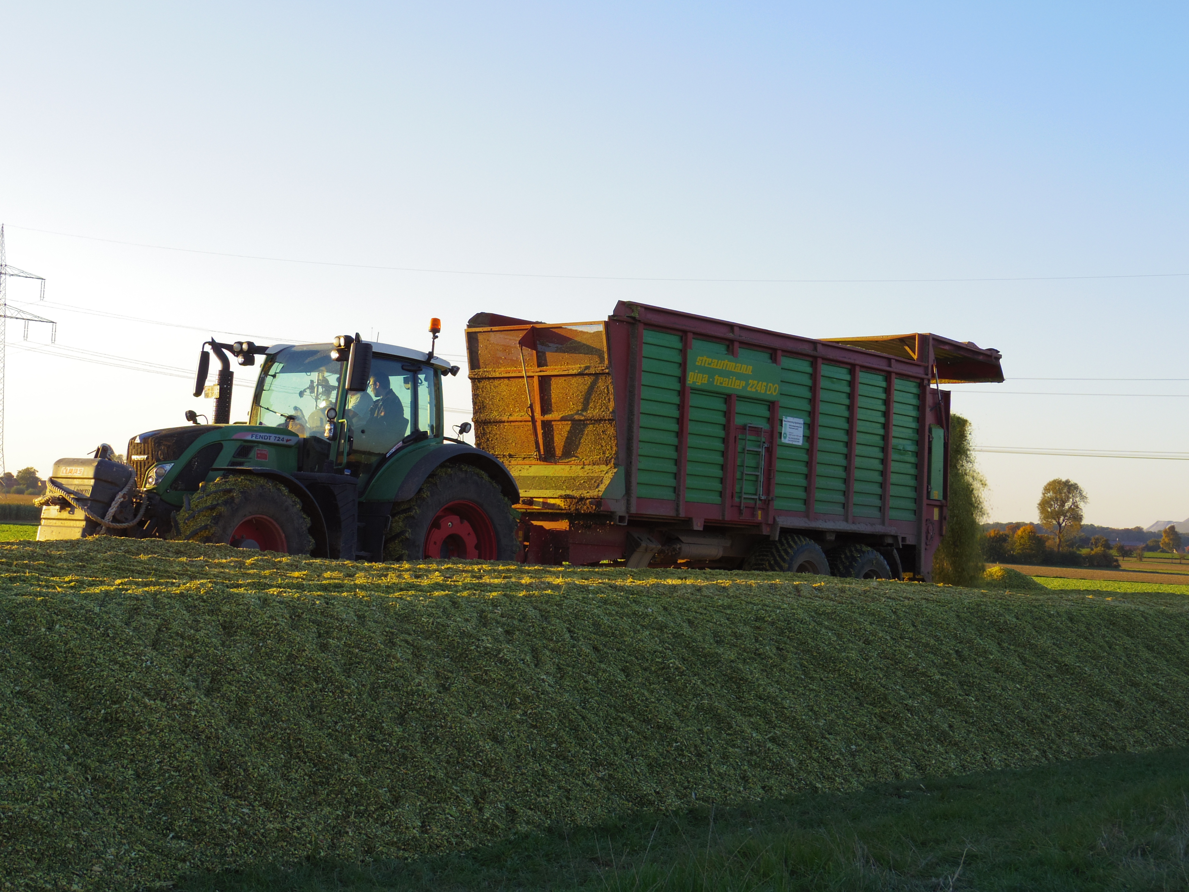 Silage 2015 Freilandsilo