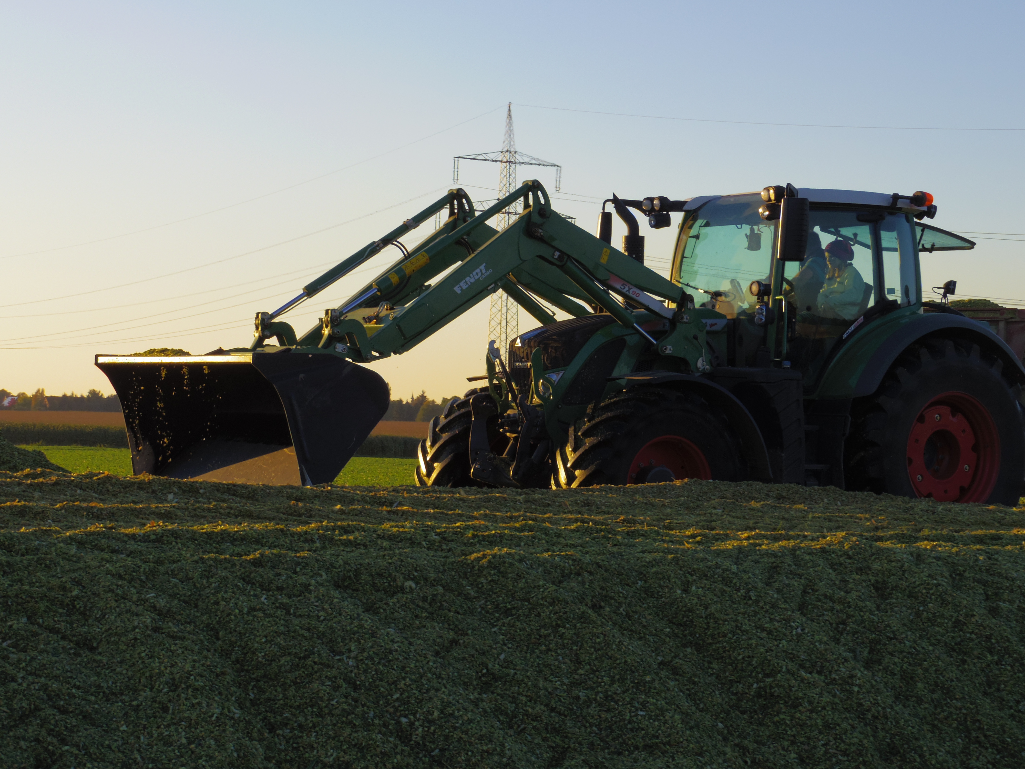 Silage 2015 Freilandsilo