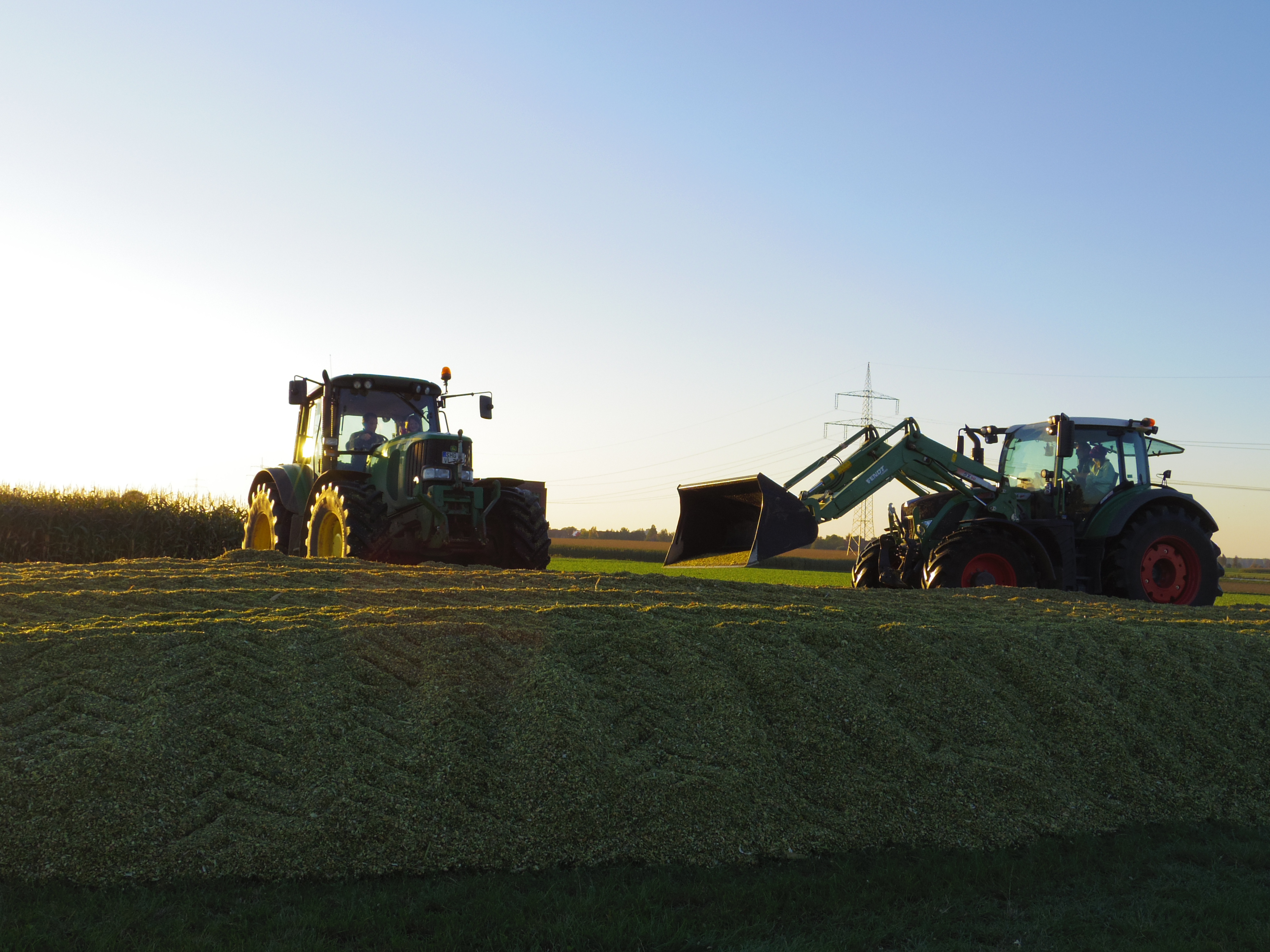 Silage 2015 Freilandsilo