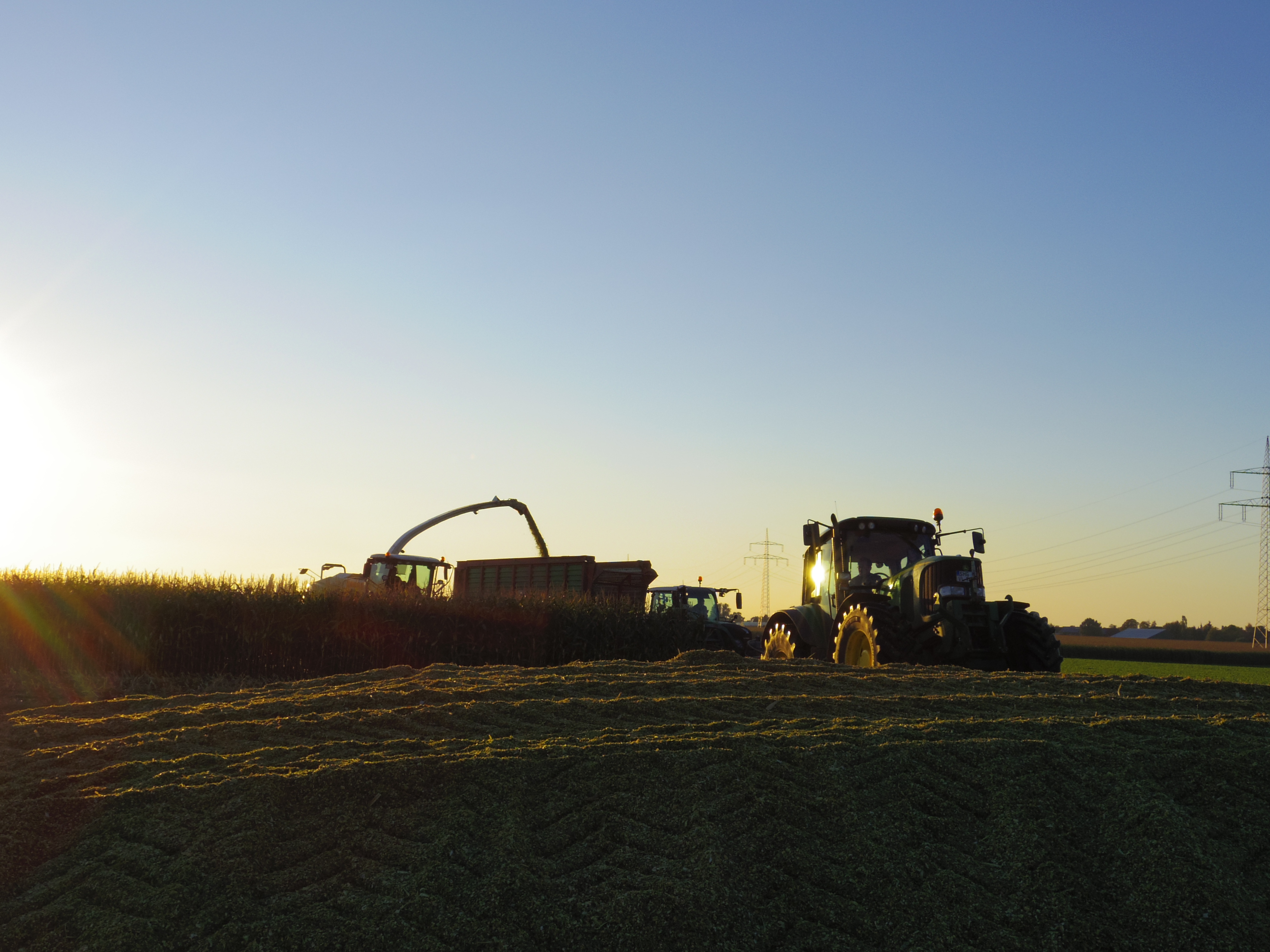 Silage 2015 Freilandsilo