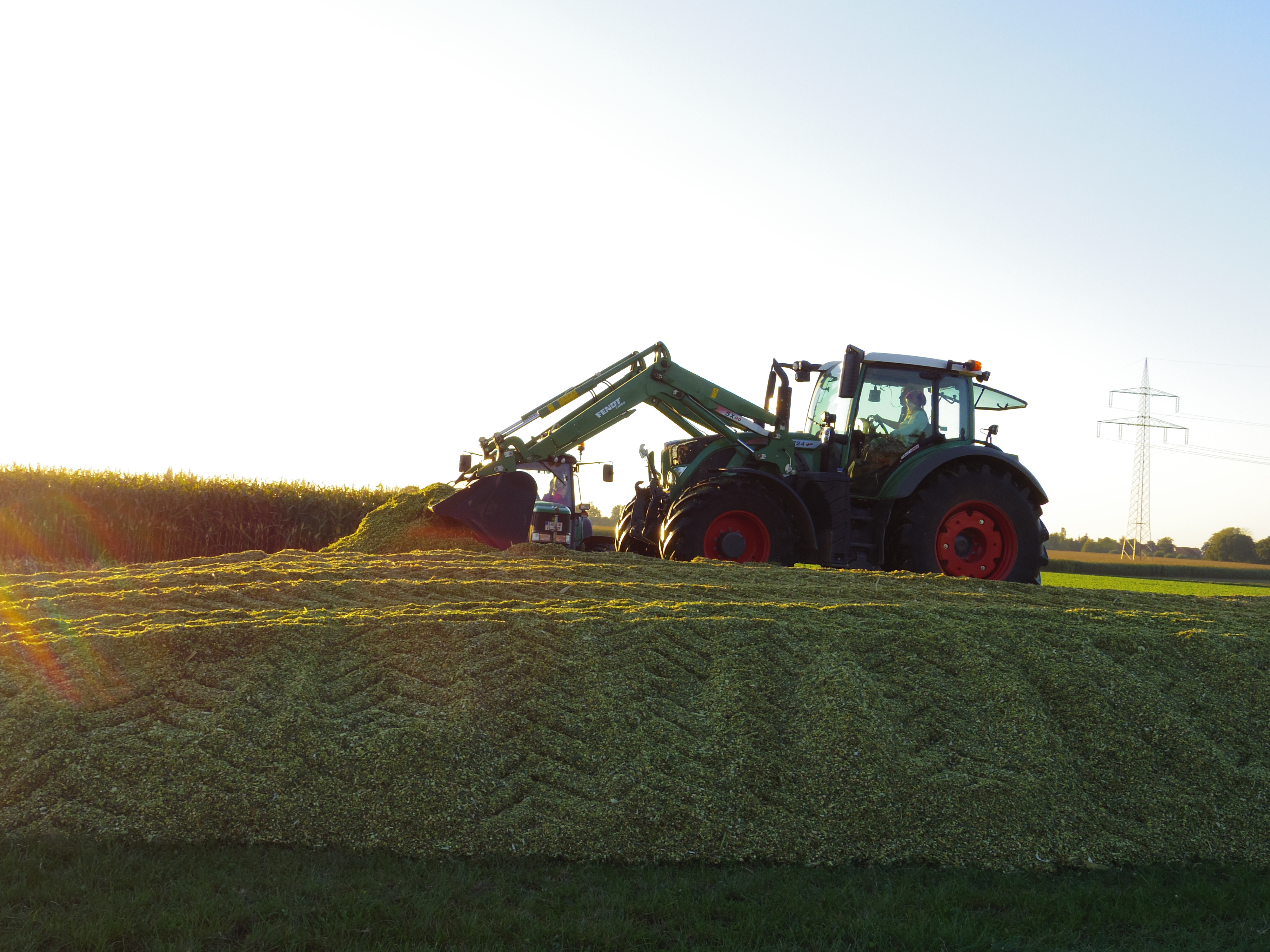 Silage 2015 Freilandsilo