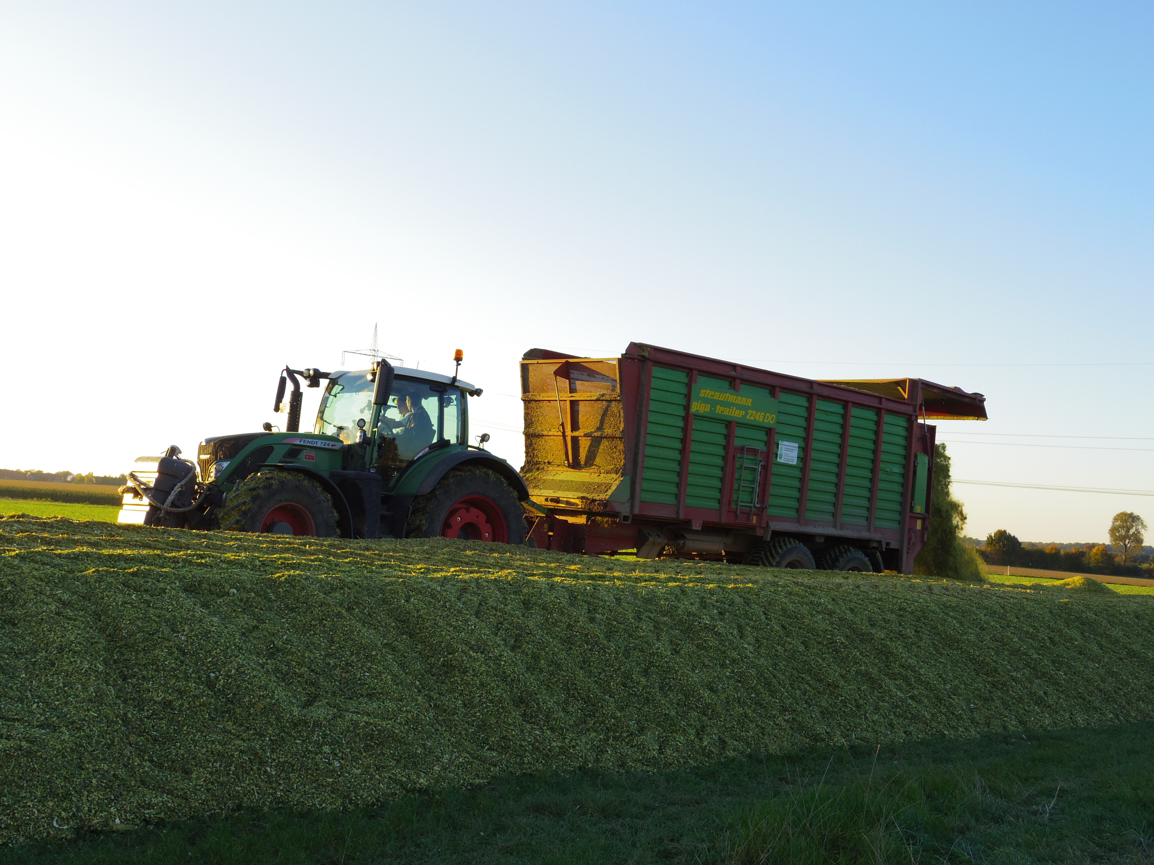 Silage 2015 Freilandsilo