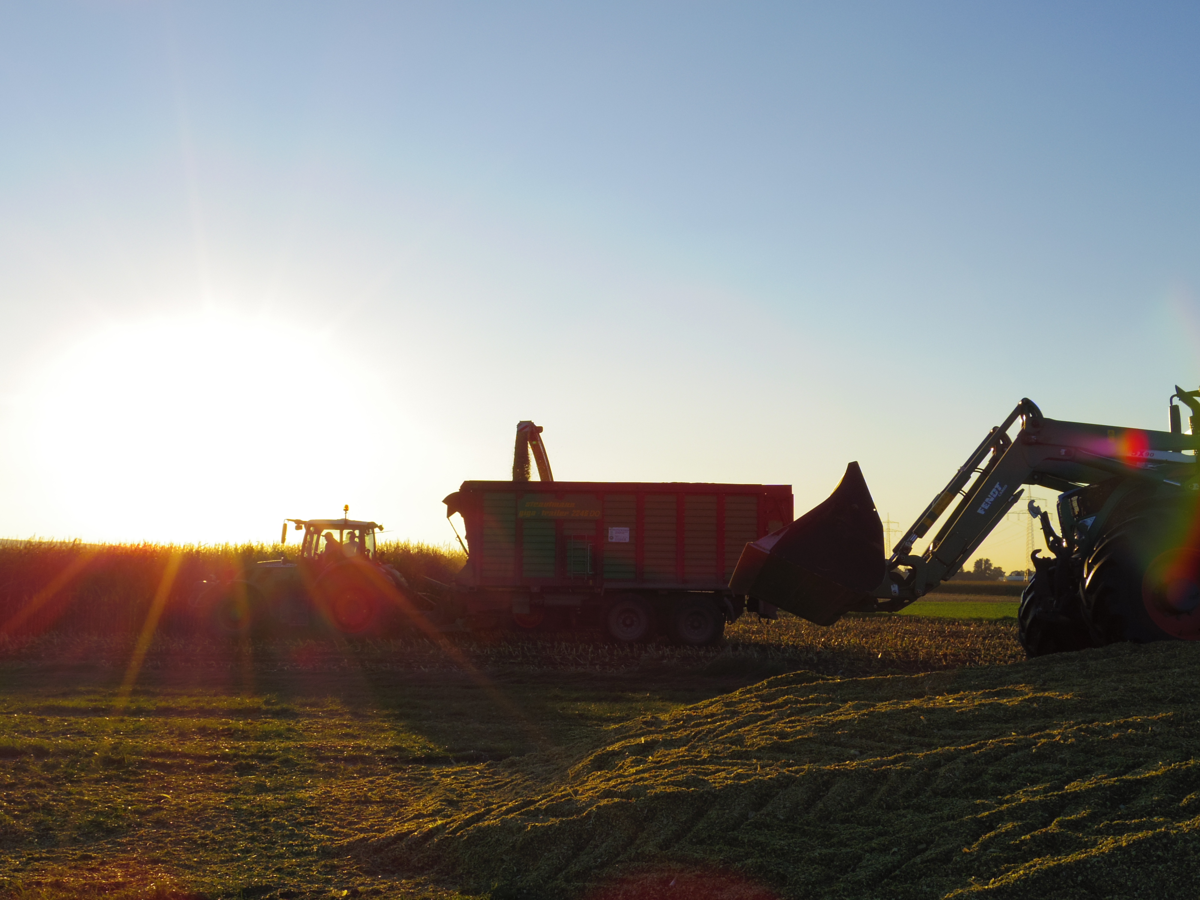 Silage 2015 Freilandsilo