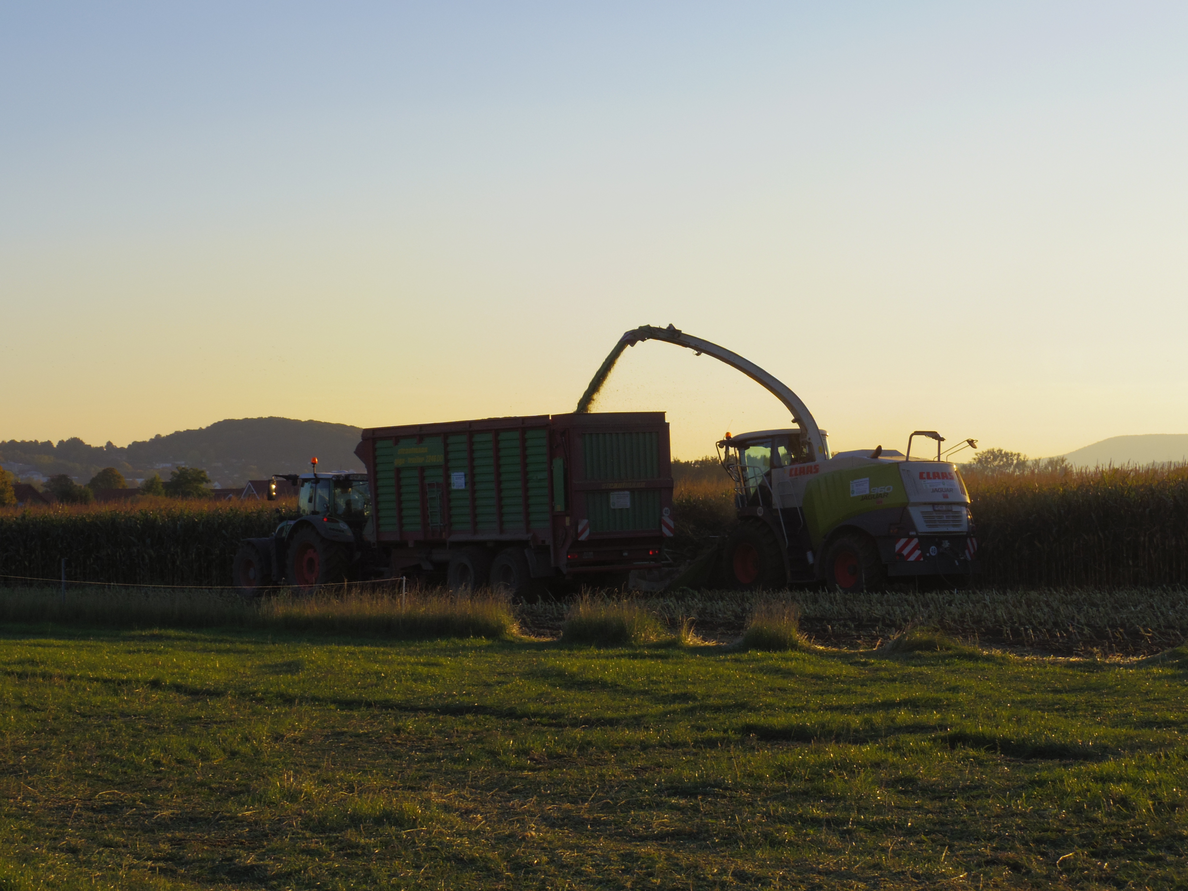 Silage 2015 Freilandsilo