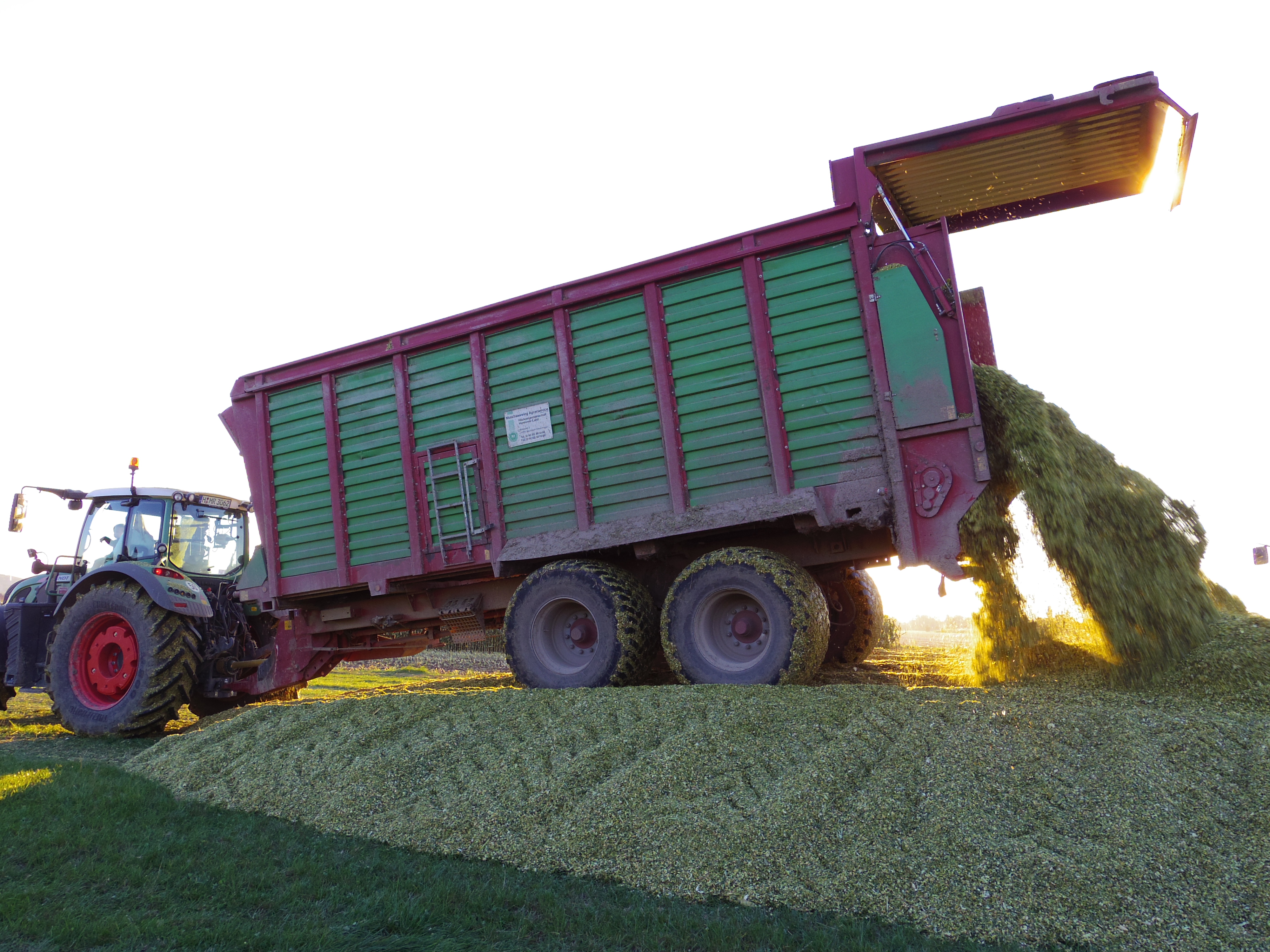 Silage 2015 Freilandsilo