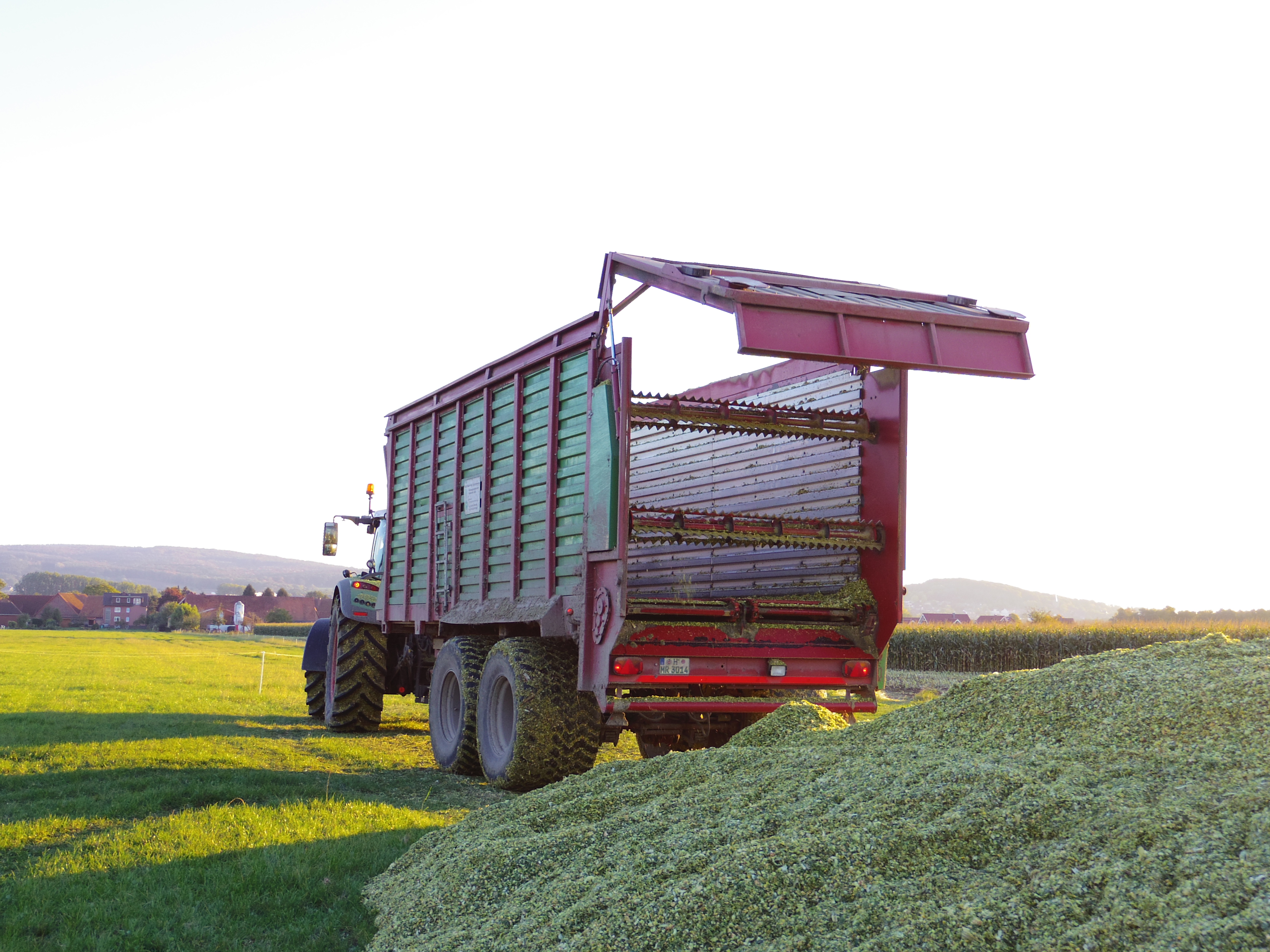 Silage 2015 Freilandsilo