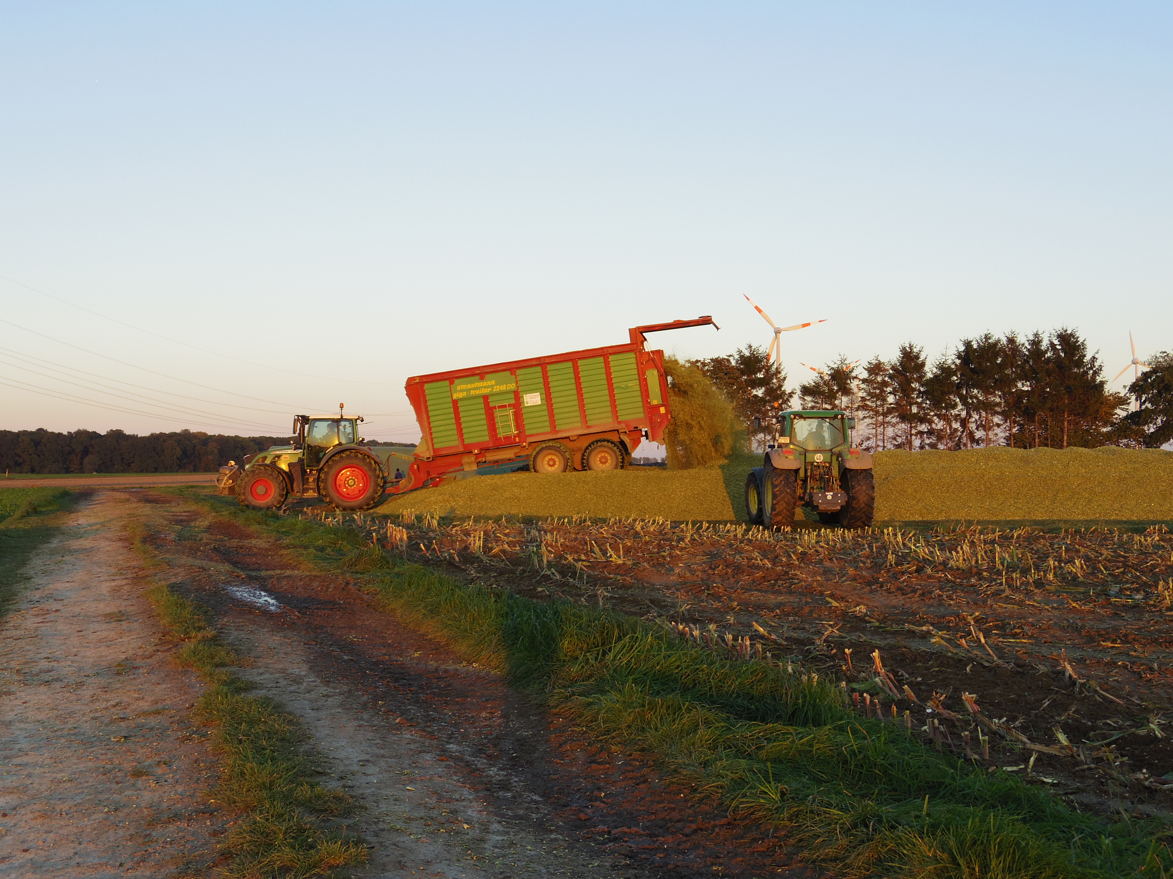 Silage 2015 Freilandsilo