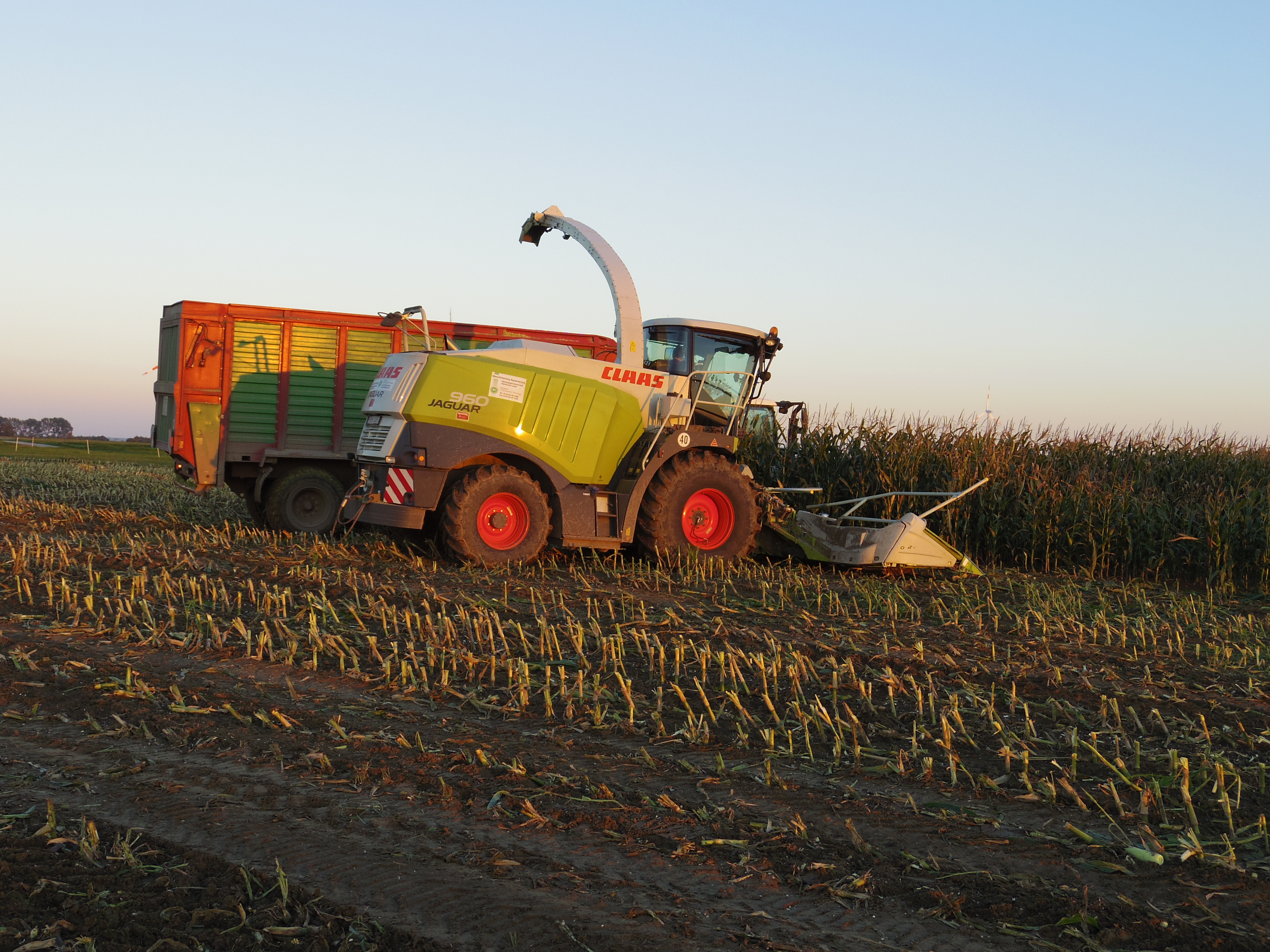 Silage 2015 Freilandsilo