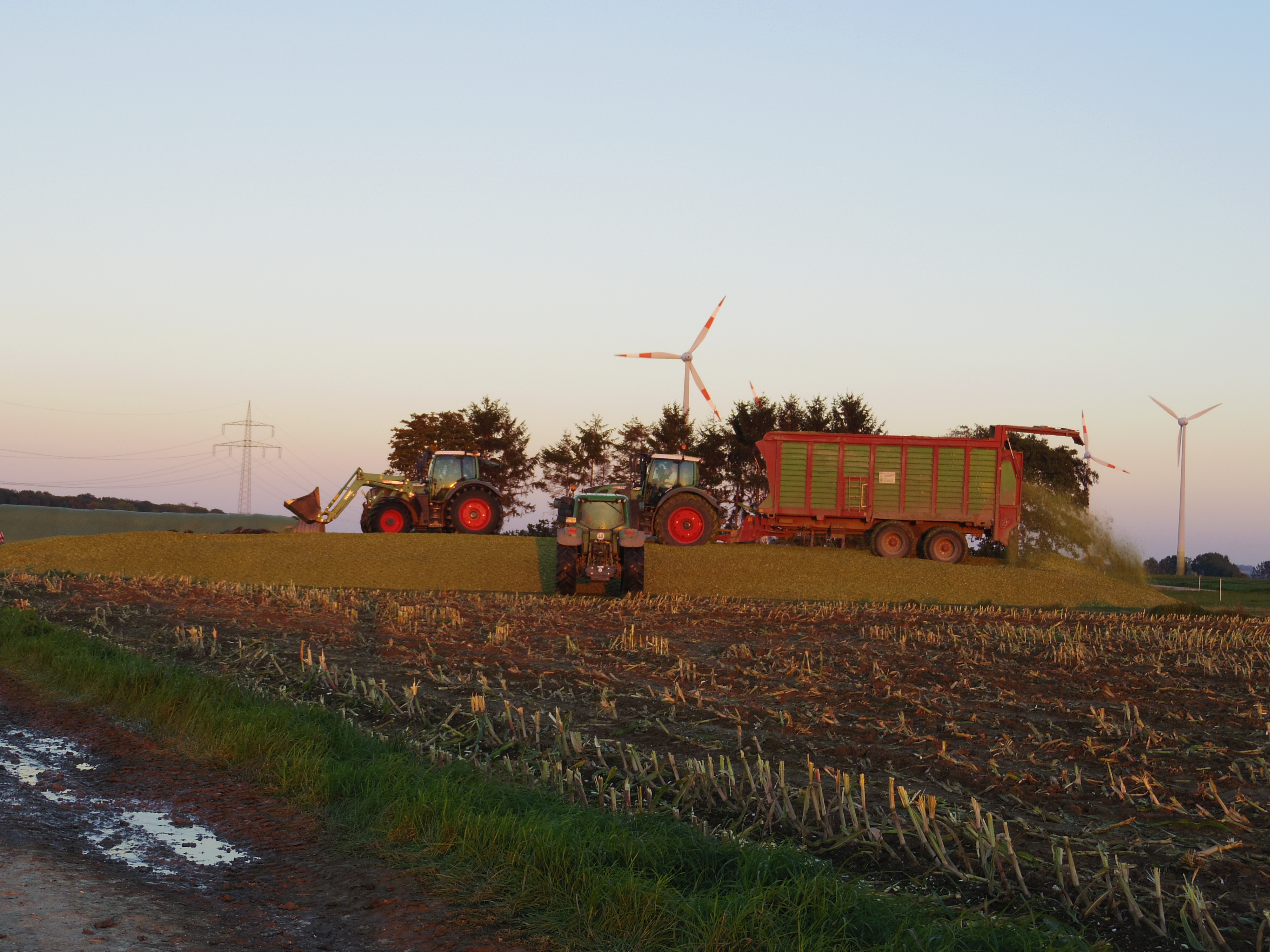 Silage 2015 Freilandsilo