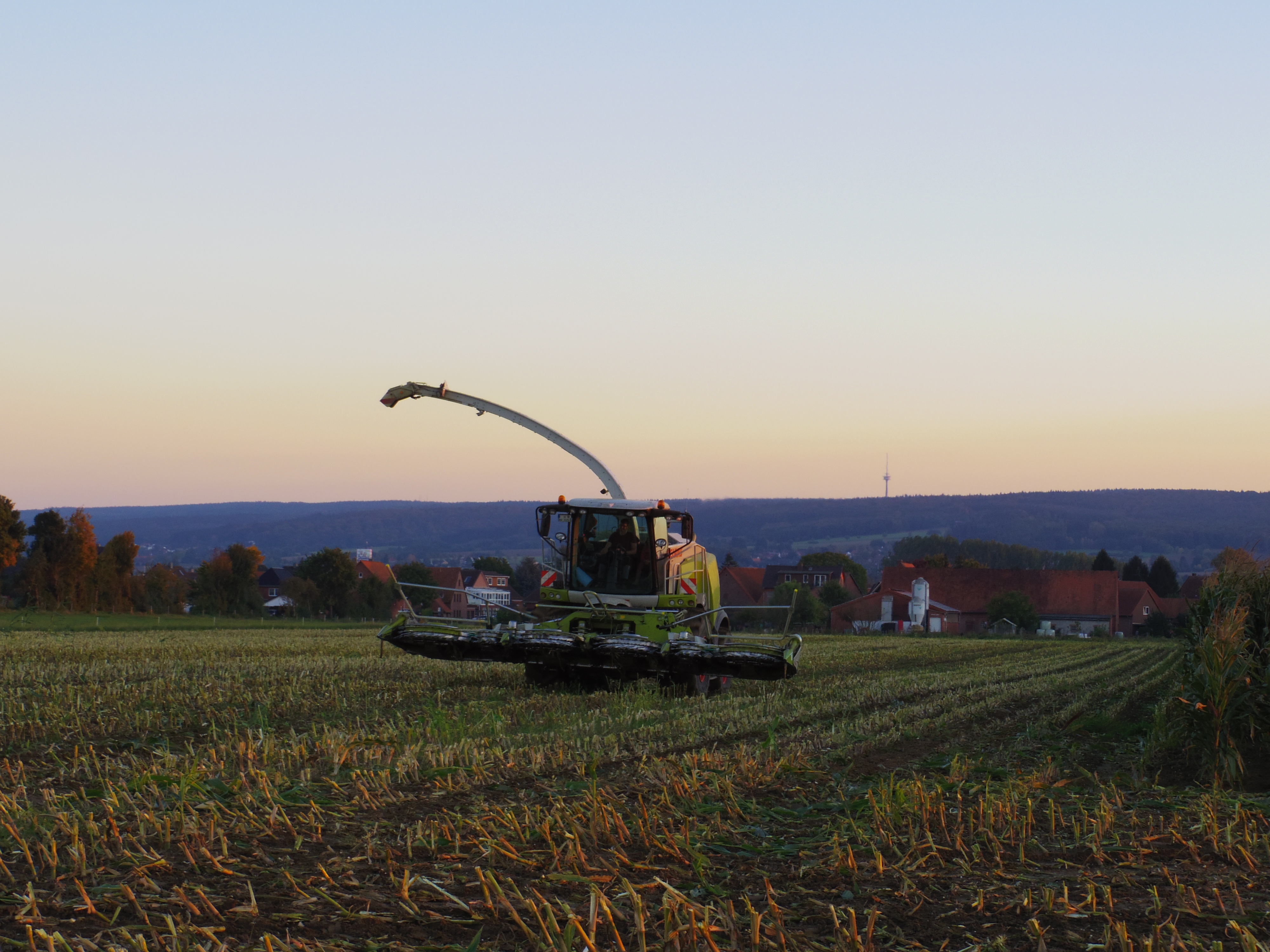 Silage 2015 Freilandsilo