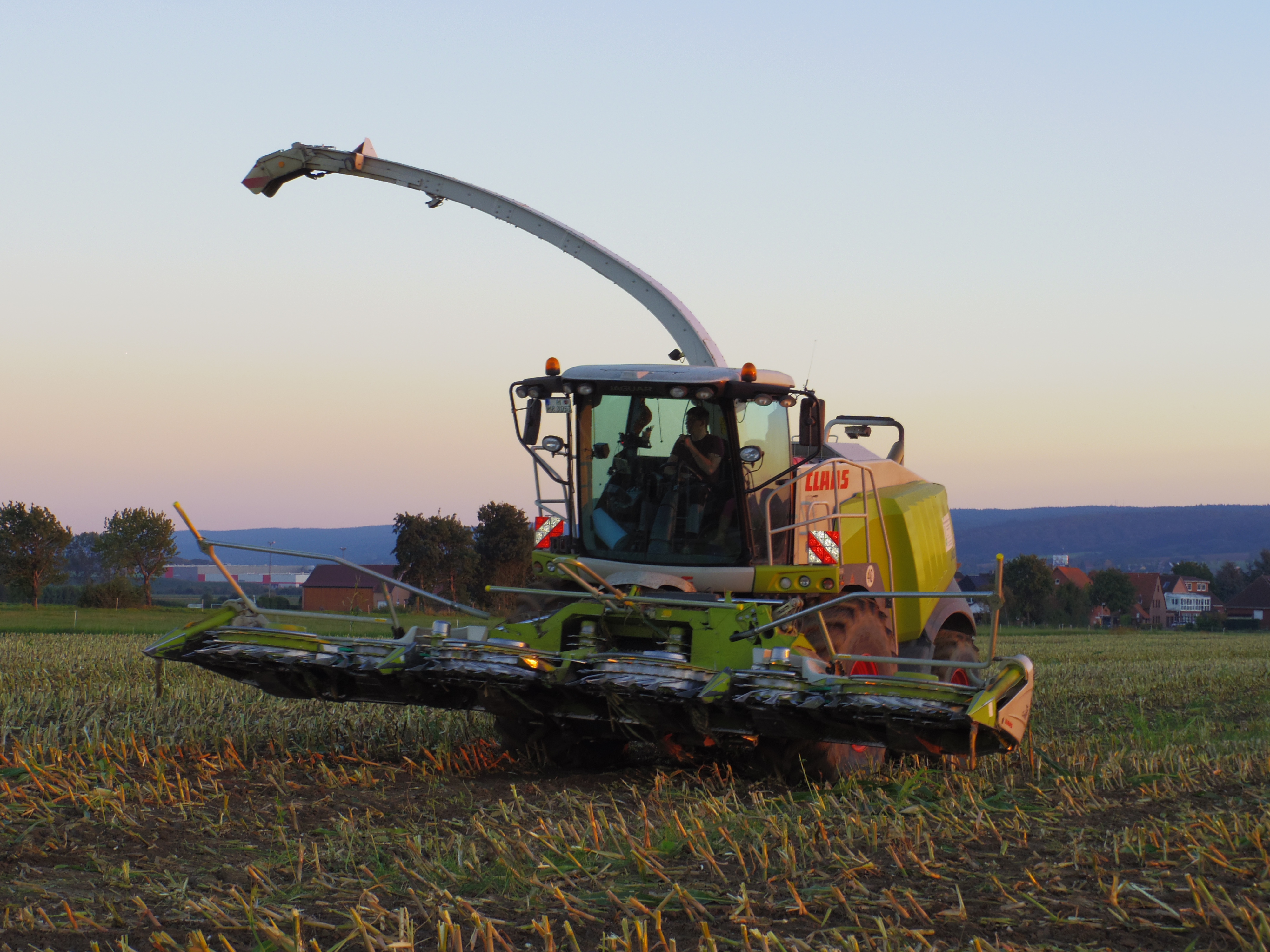 Silage 2015 Freilandsilo