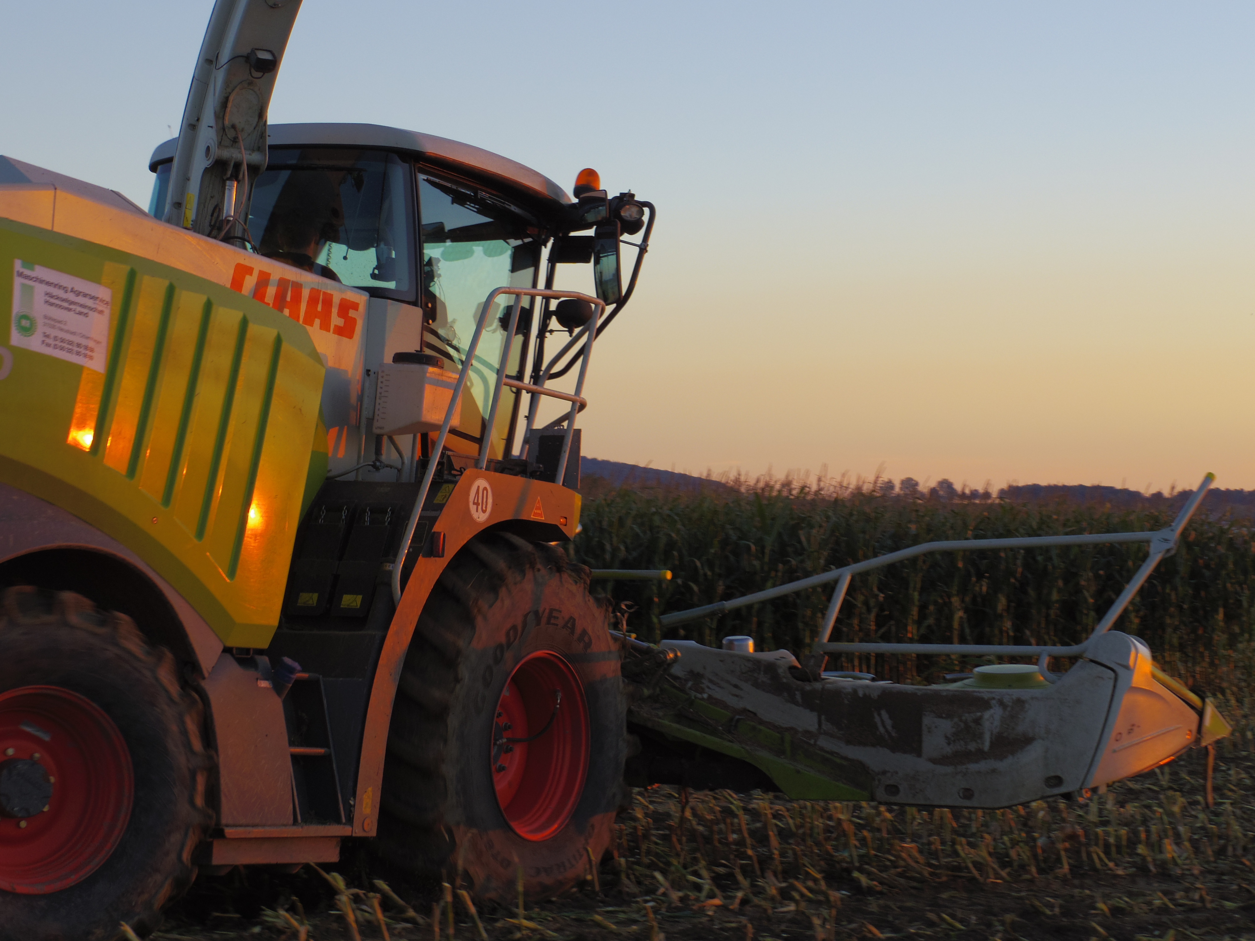 Silage 2015 Freilandsilo