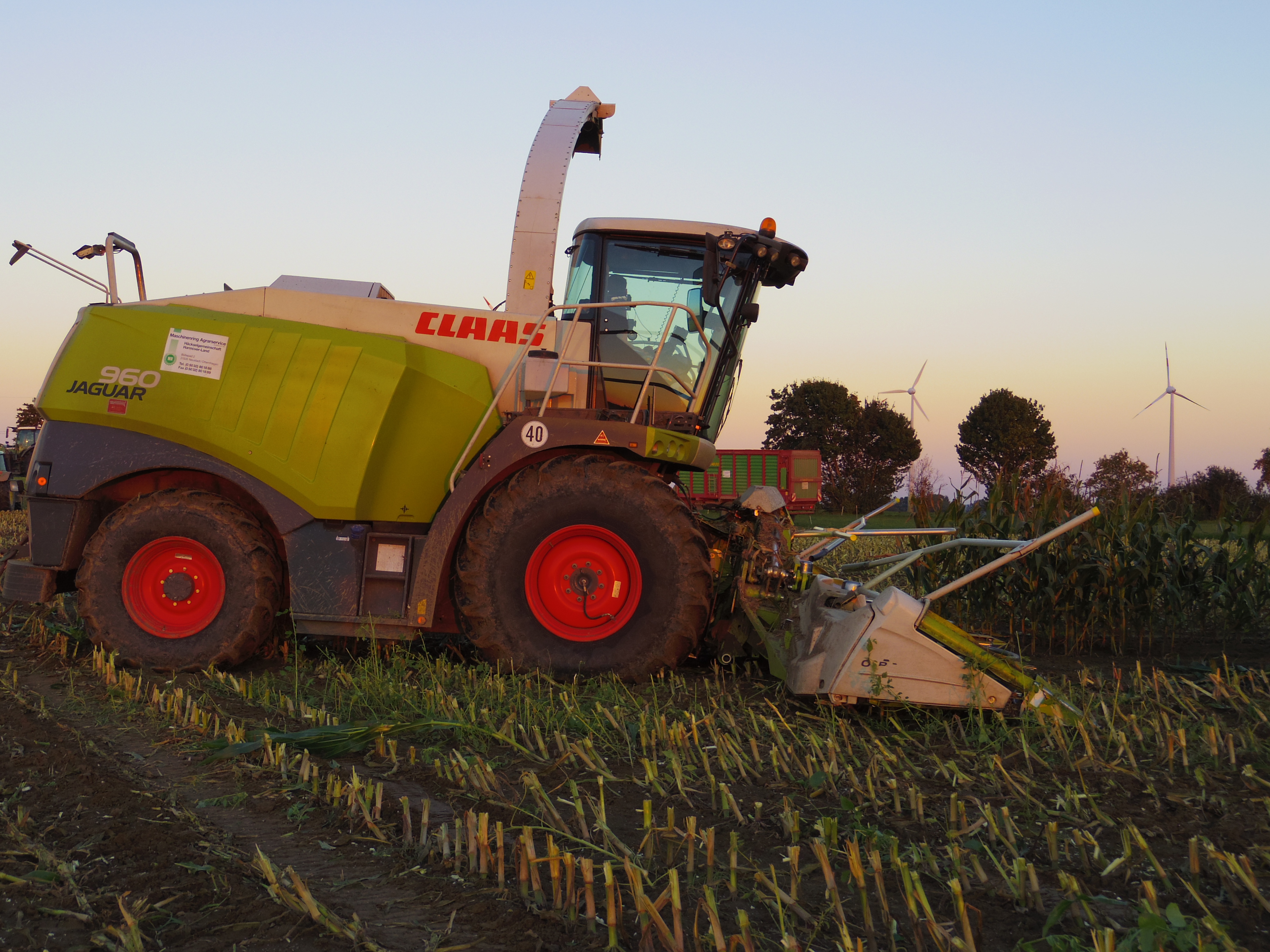 Silage 2015 Freilandsilo