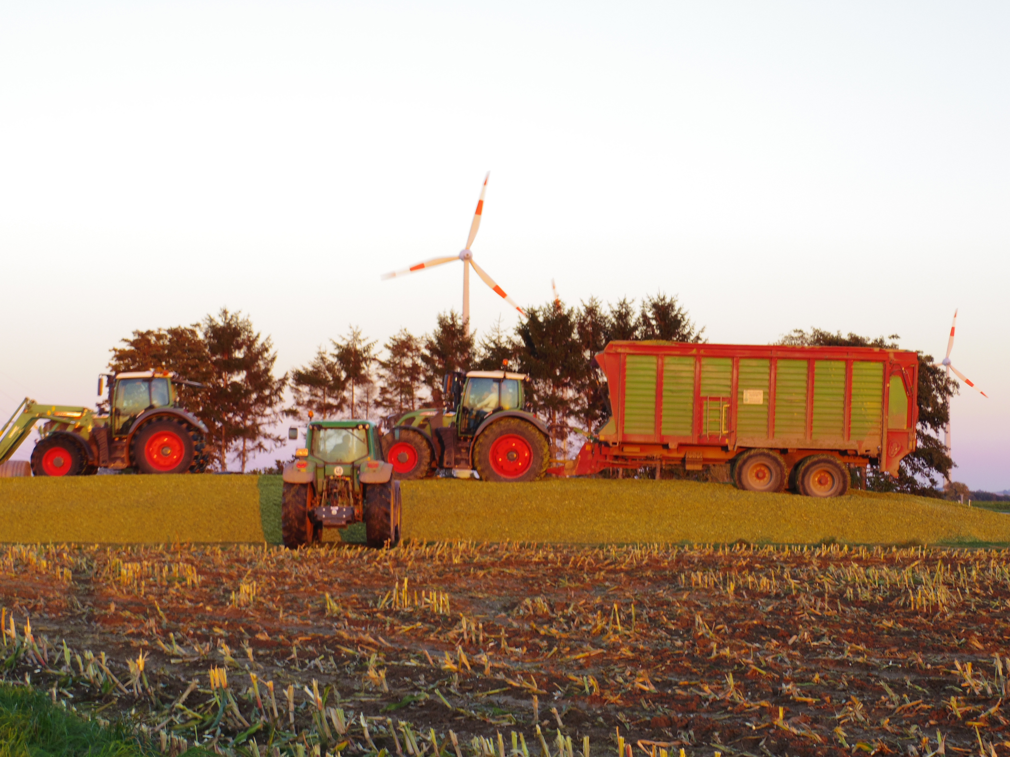 Silage 2015 Freilandsilo