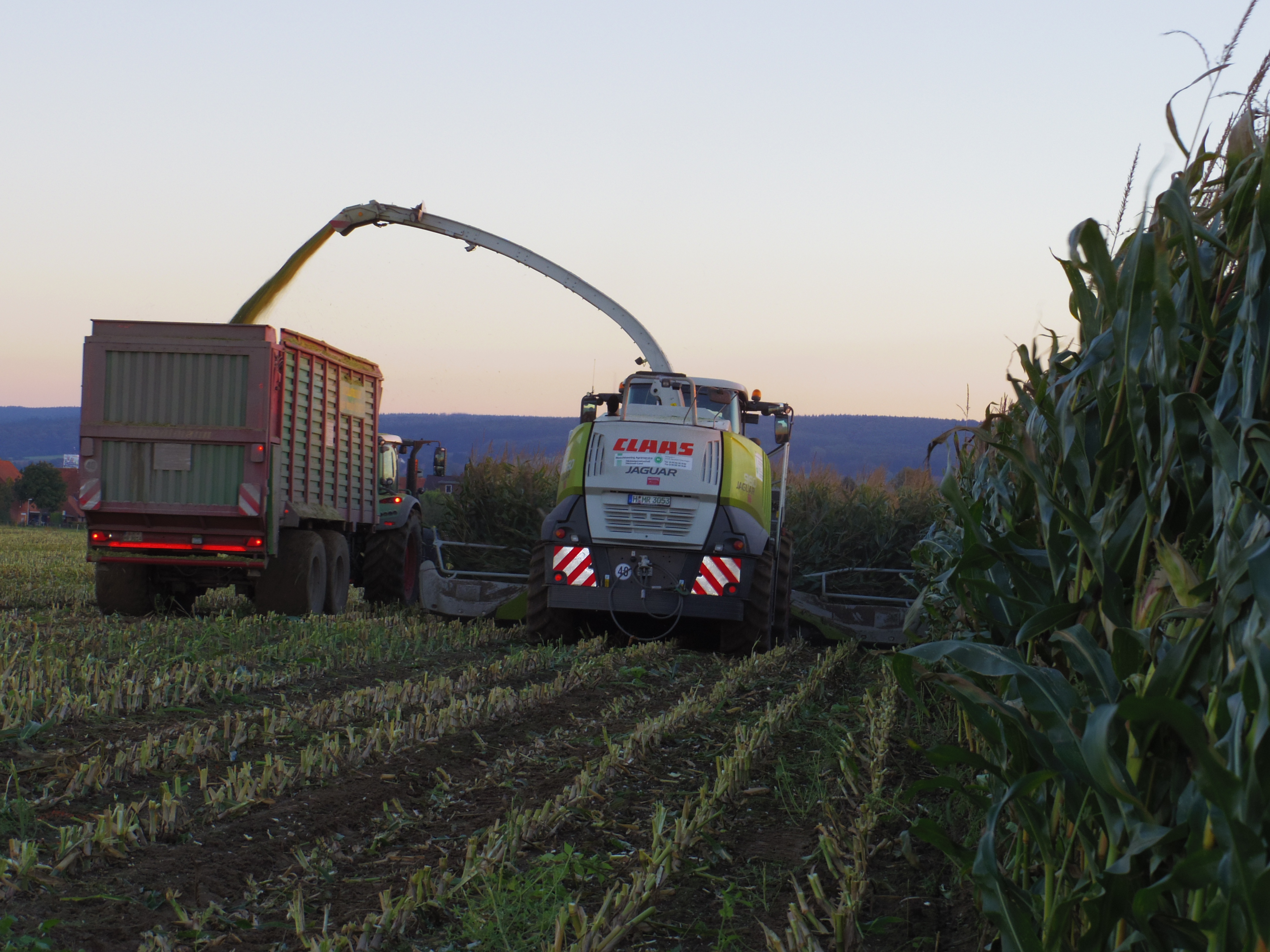 Silage 2015 Freilandsilo