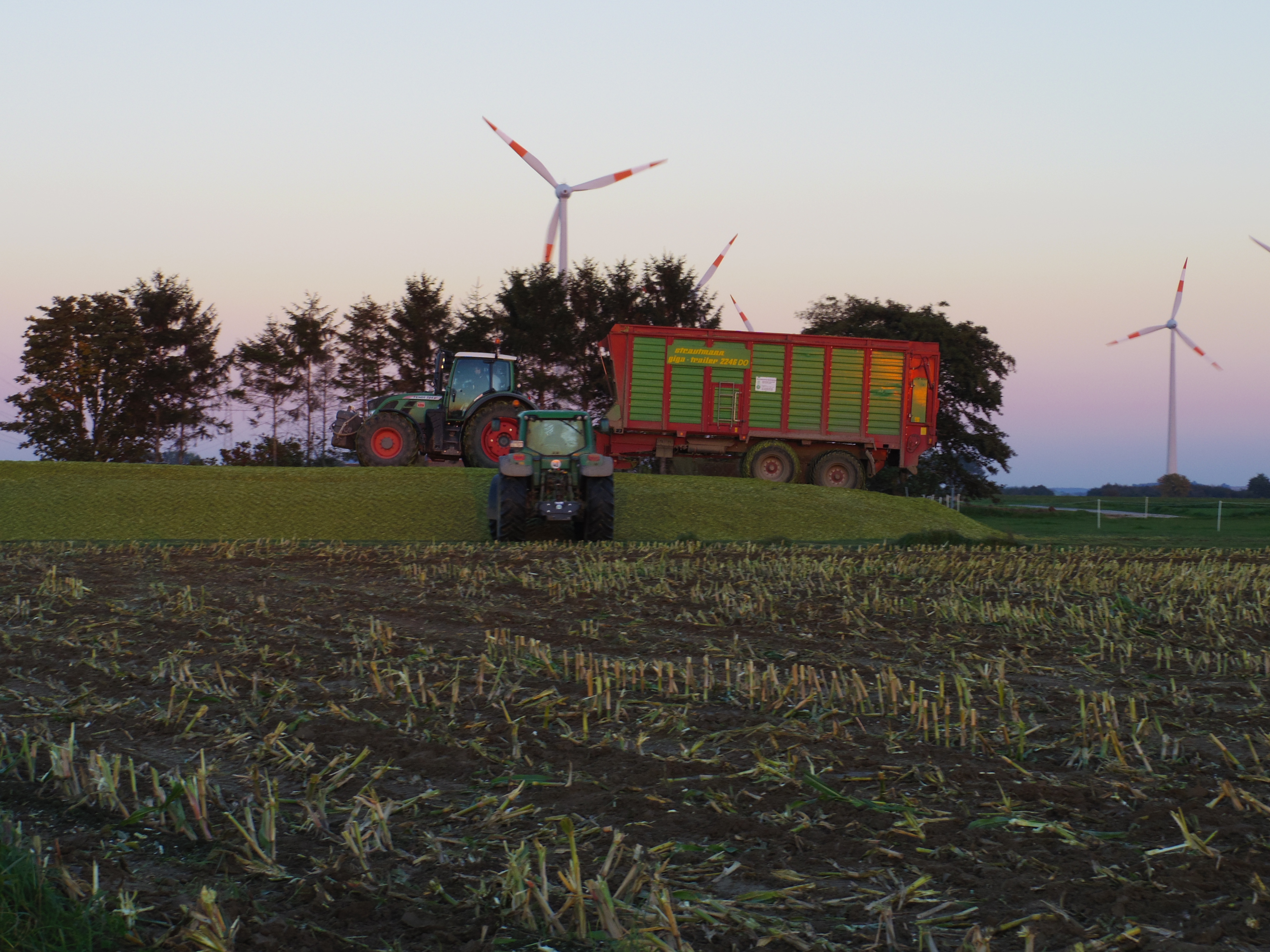 Silage 2015 Freilandsilo