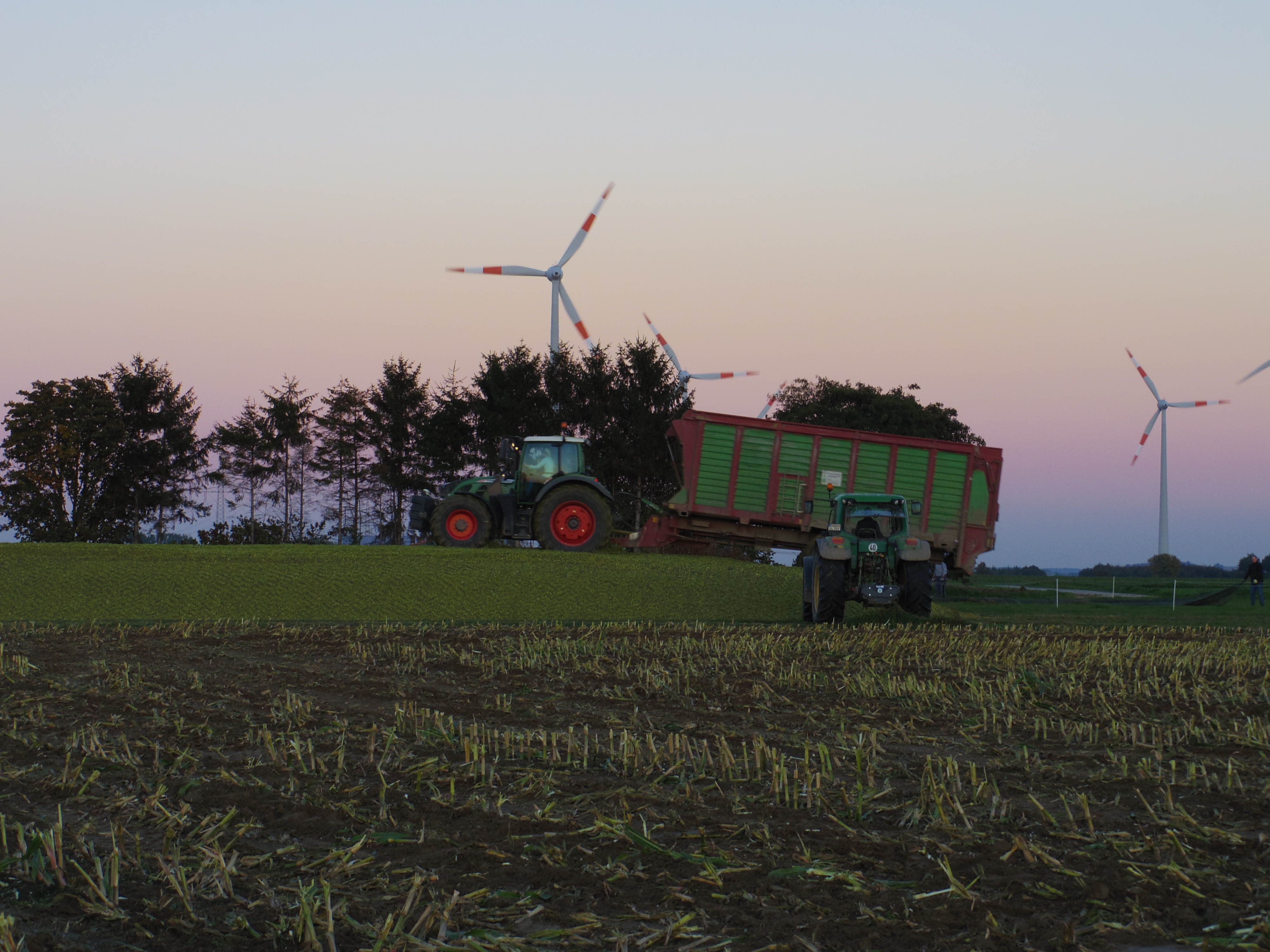 Silage 2015 Freilandsilo