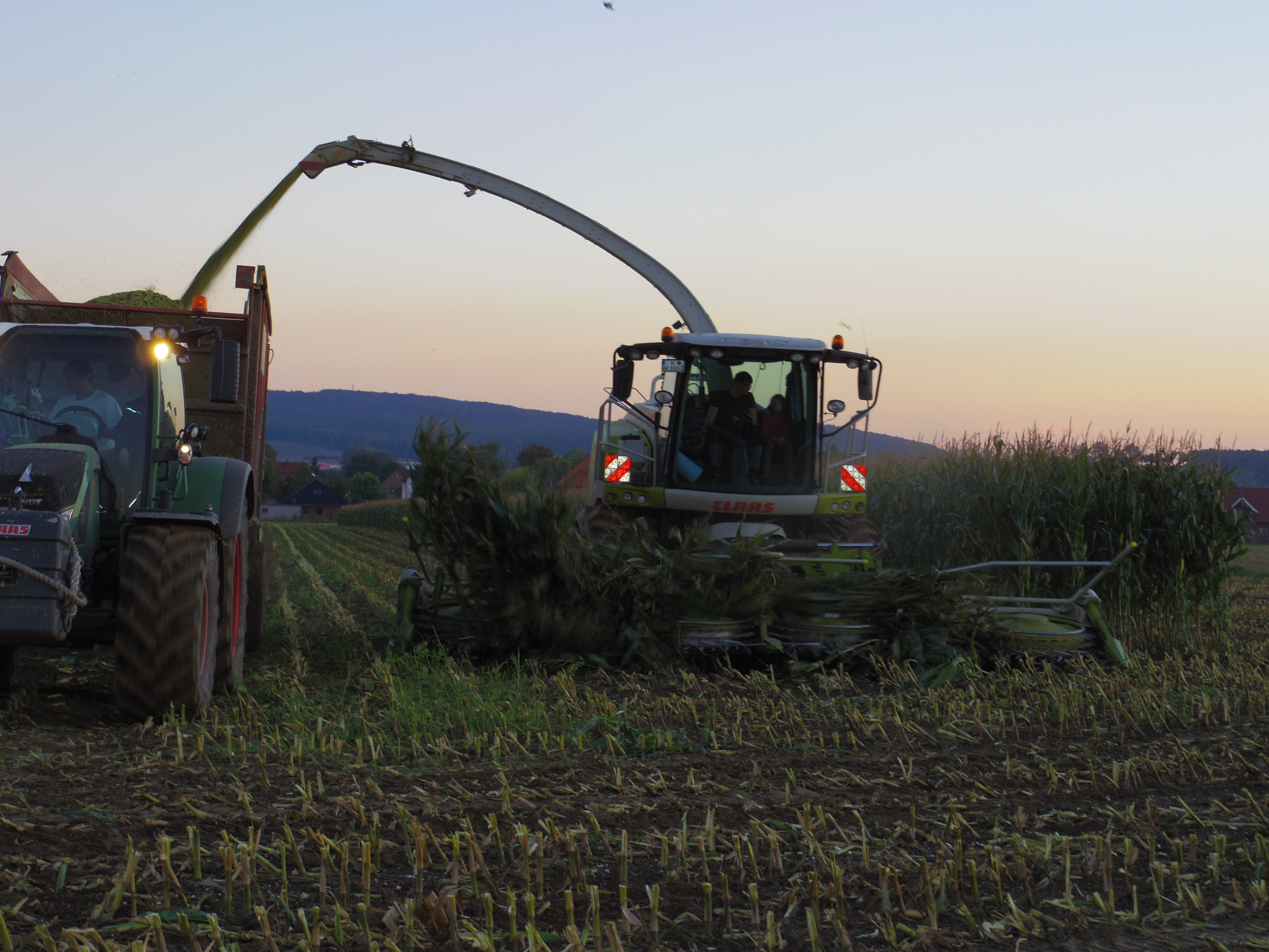 Silage 2015 Freilandsilo