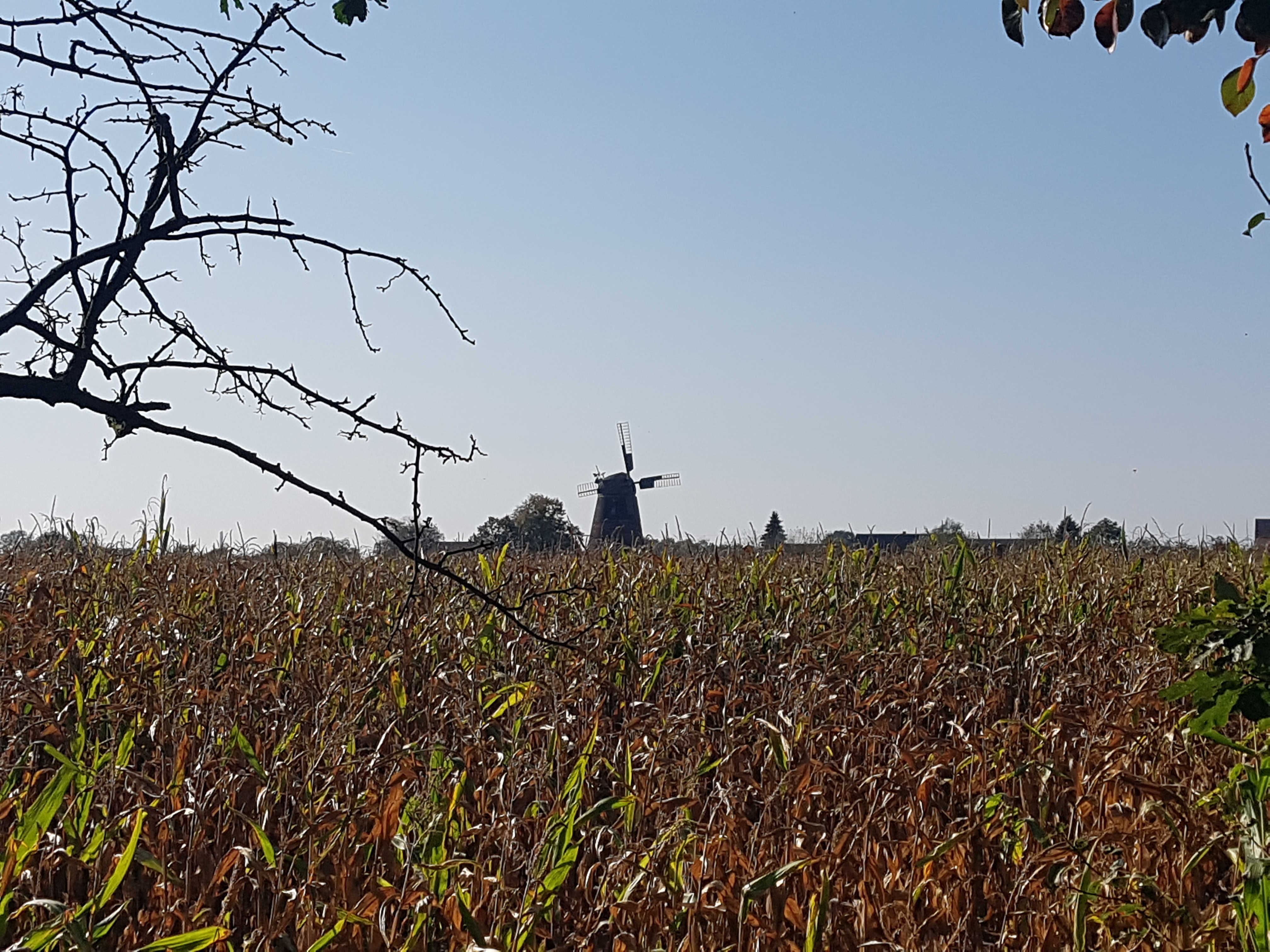 Unterwegs um Großräschen