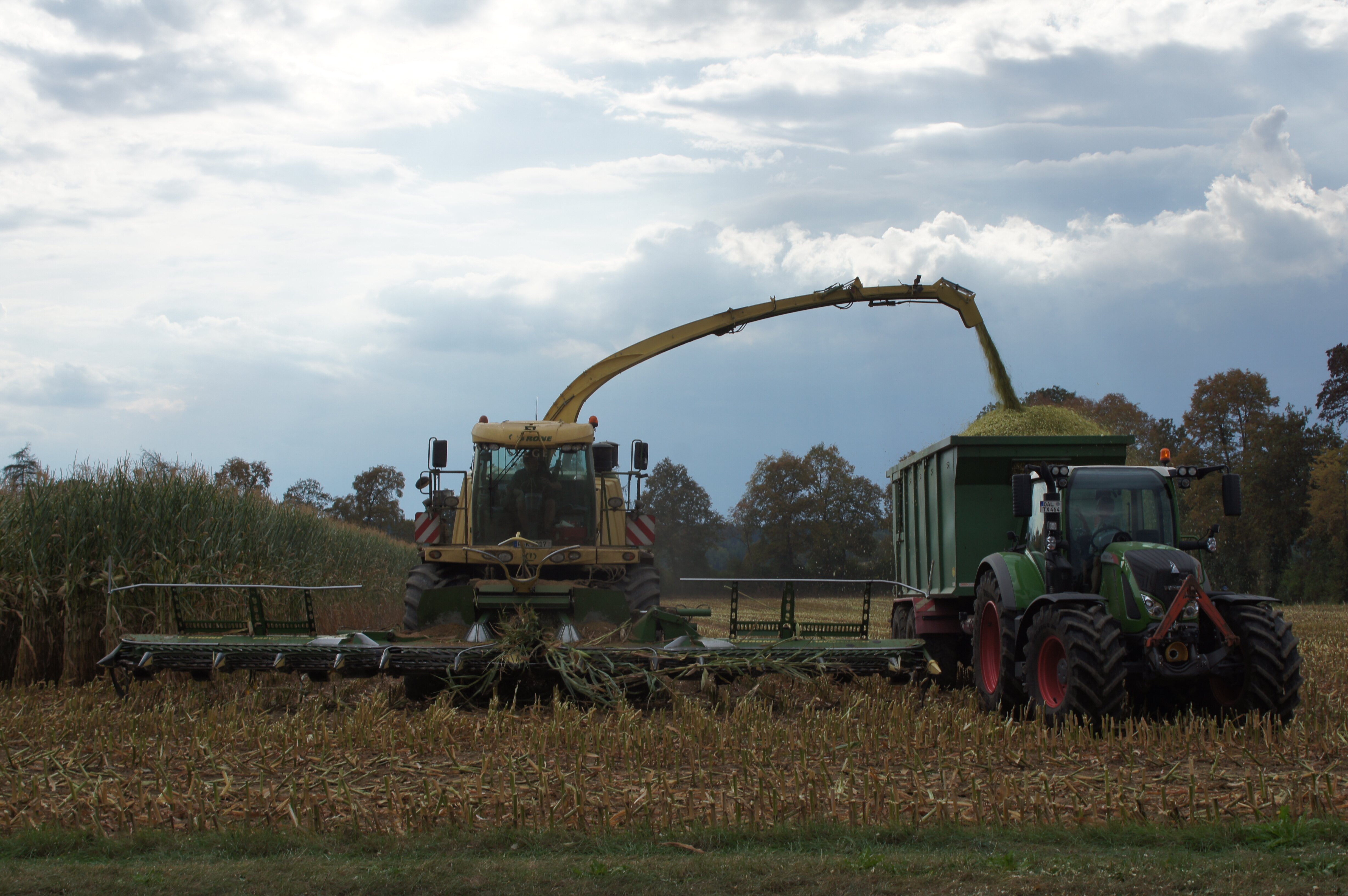 Krone Big X 1100 und Fendt Vario 718 mit Wernsmann HKL