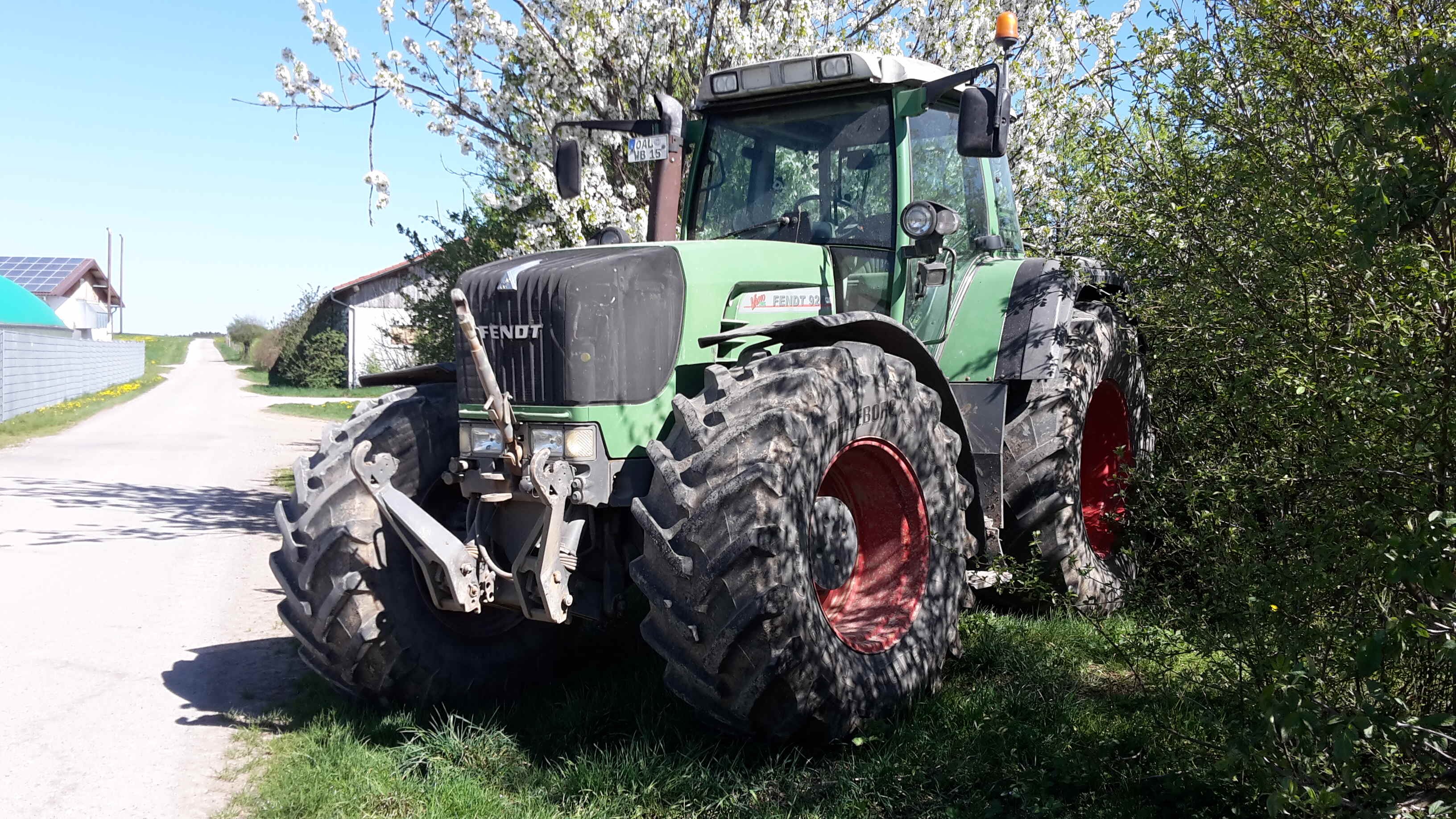 Was versteckt sich den hier im Gebüsch?