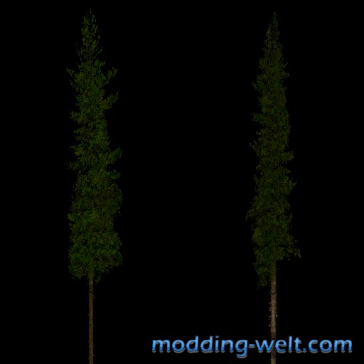 foliage_treesNadel1_diffuse.png