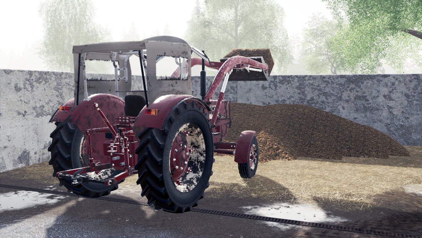 IHC 523 (LS19)