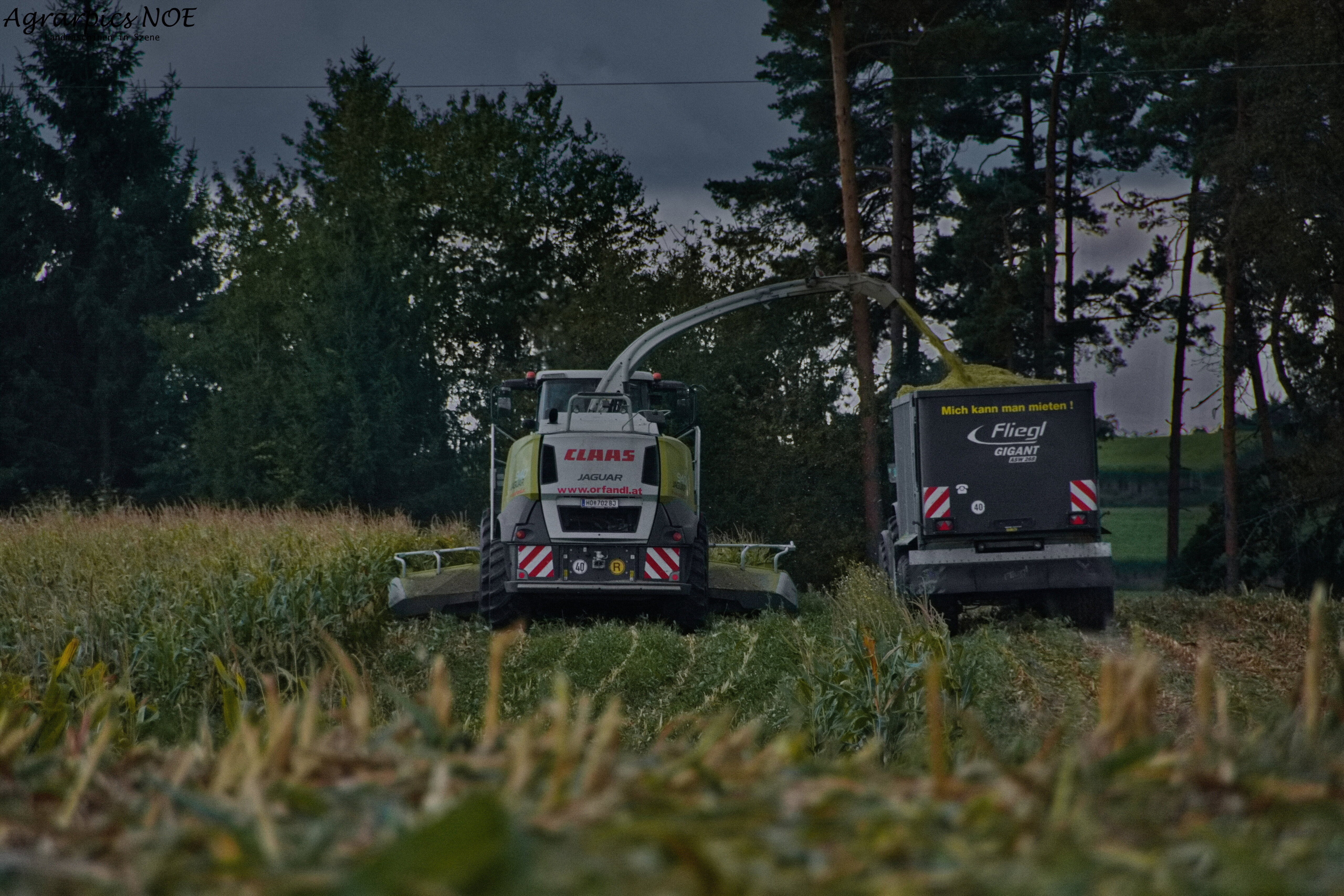 Hektar vorm Unwetter machen