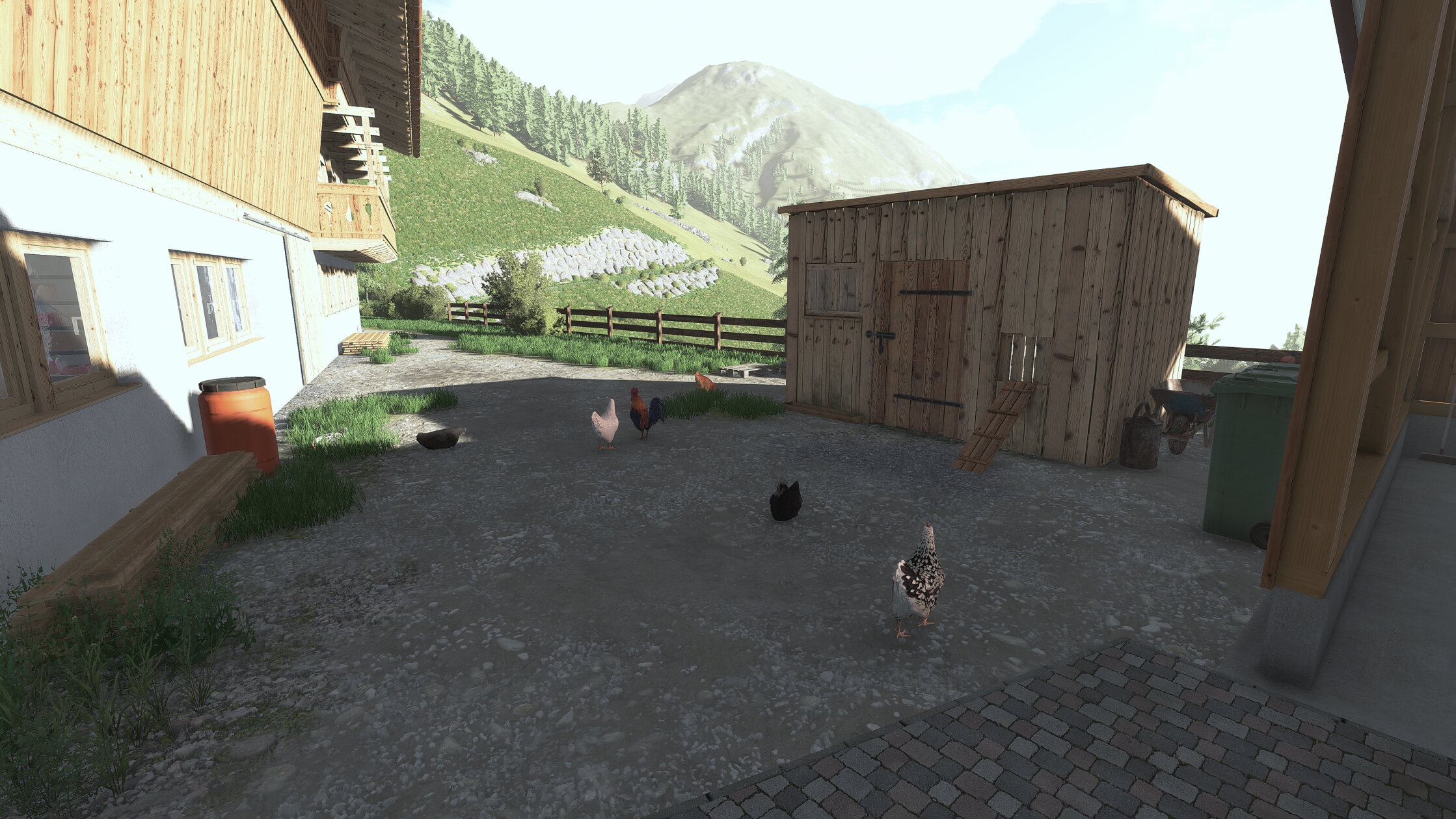 Hühner gibts jetz auch aufn Berghof