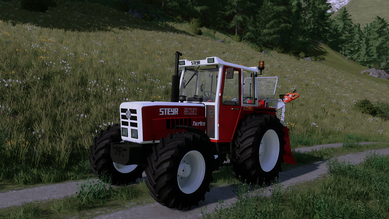 STEYR