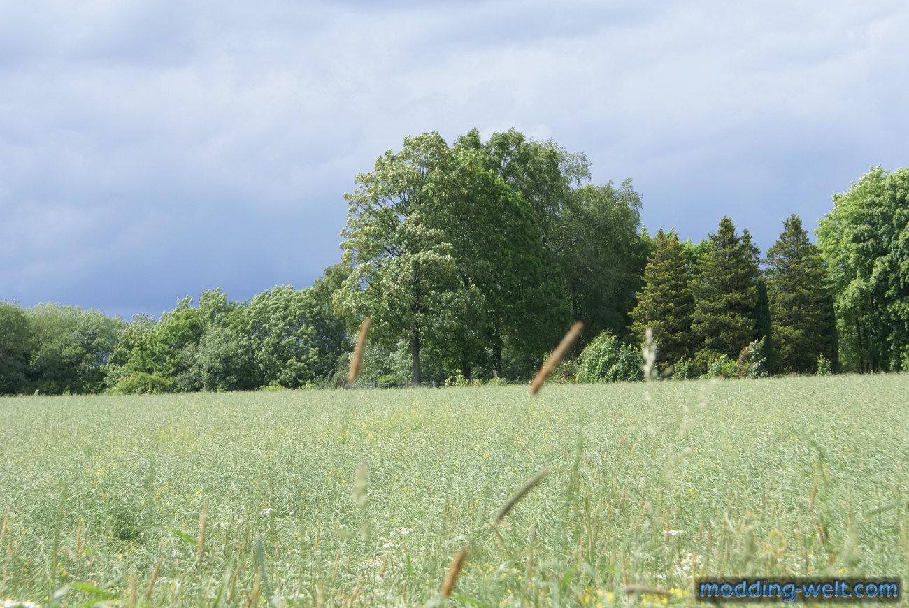 Natur- und Landschaftsbilder