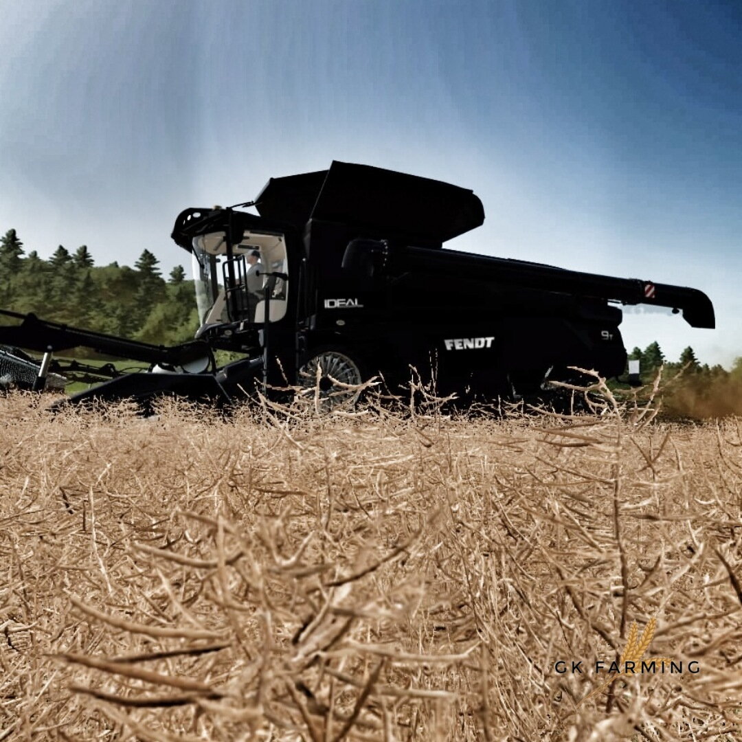 Rapsernte auf der Swiss Future Farm