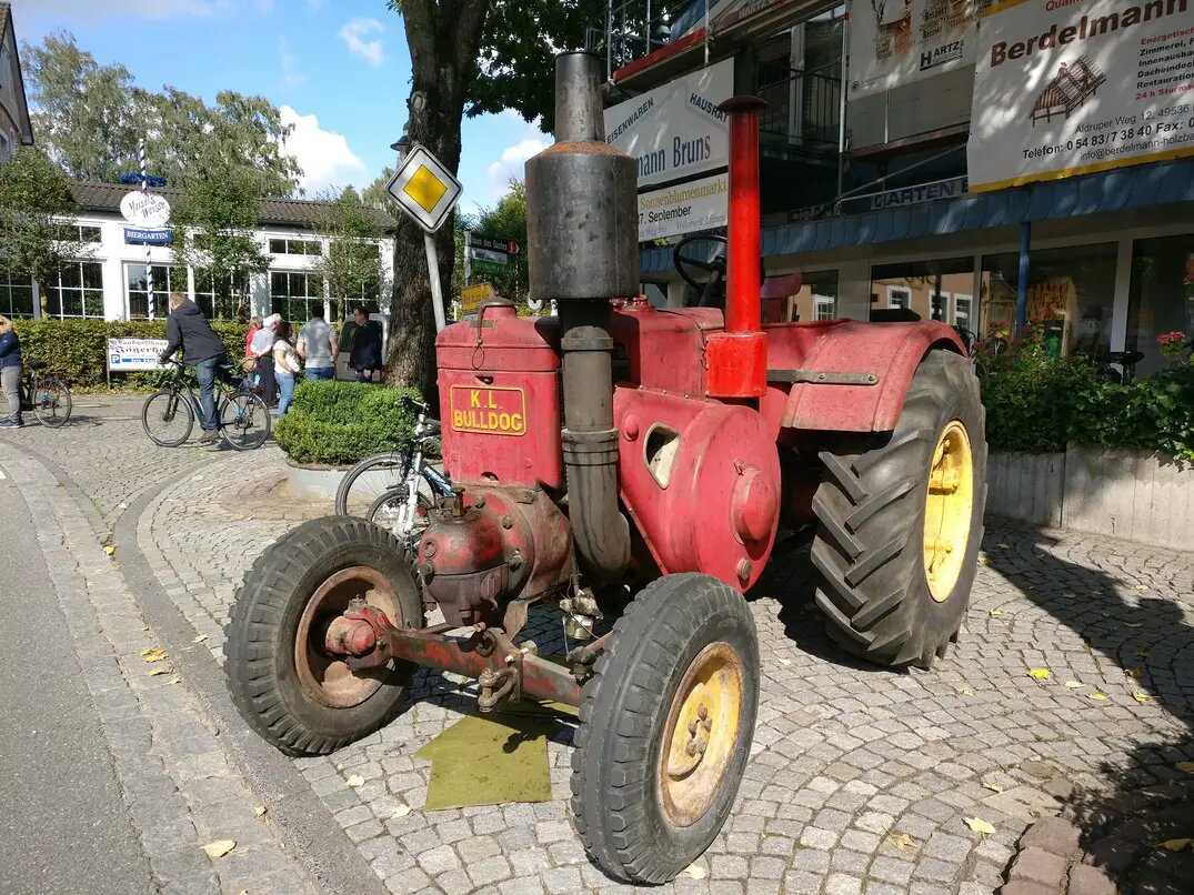 Sonnenblumenmarkt 2017 Lienen