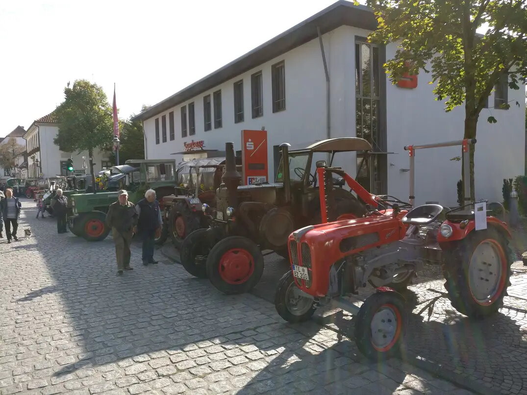 Sonnenblumenmarkt 2017 Lienen