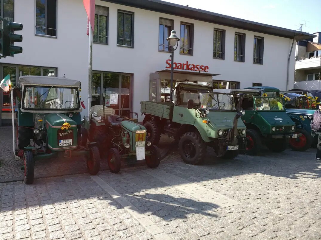 Sonnenblumenmarkt 2017 Lienen