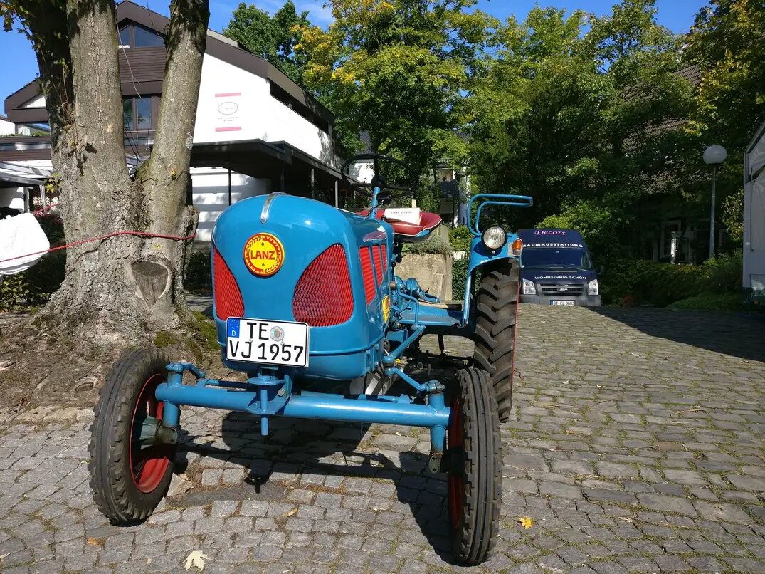 Sonnenblumenmarkt 2017 Lienen