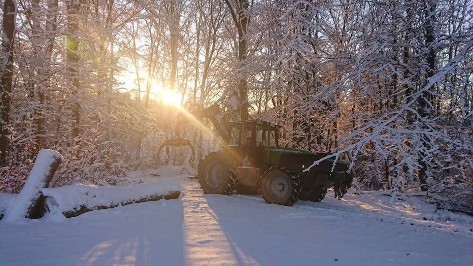 ,,Kotschi" im Schnee