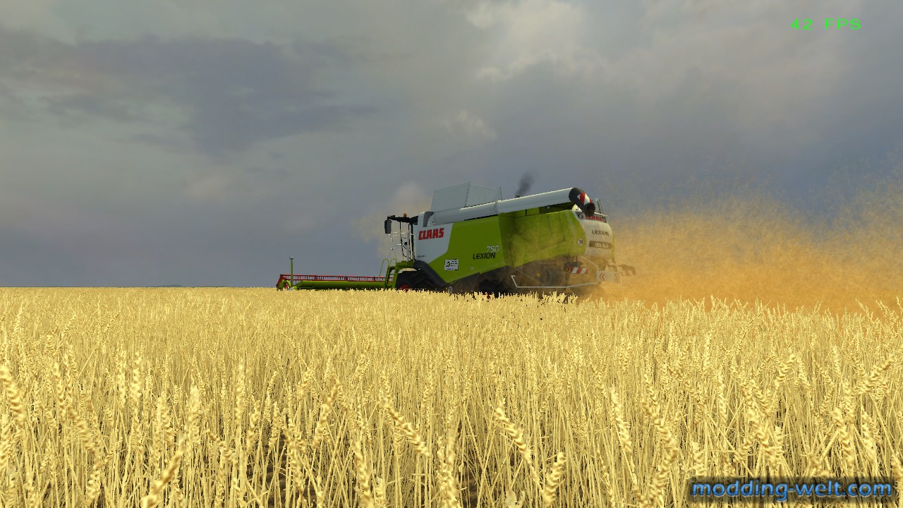 Weizendreschen mit Lexion technik