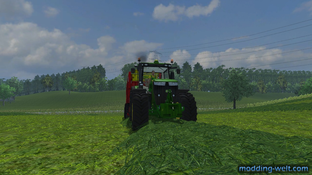 Grass Silage