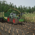 Mais Einfahren mit Fendt 926 + Krone ZX 450 GD