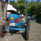 Sonnenblumenmarkt 2017 Lienen