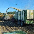 Die 5te Jahreszeit mal wieder begonnen🌽