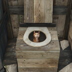 "Katzenklo, Katzenklo, ja das macht die Katze froh! "