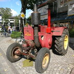 Sonnenblumenmarkt 2017 Lienen